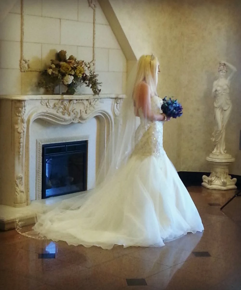 Strapless Wedding Dress with Veil