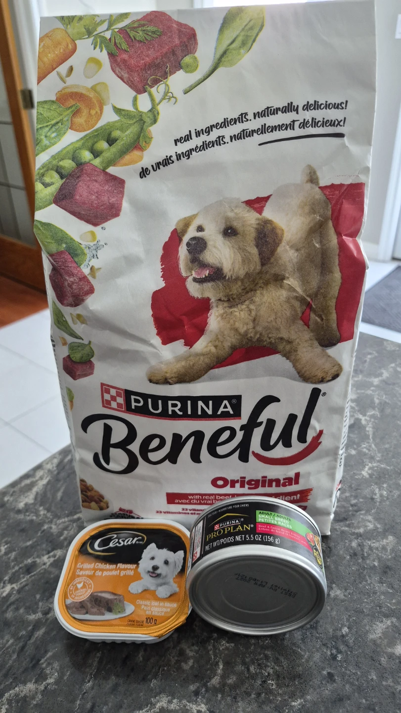 New sealed dog food. Pick up in Kitchener, $10 for all