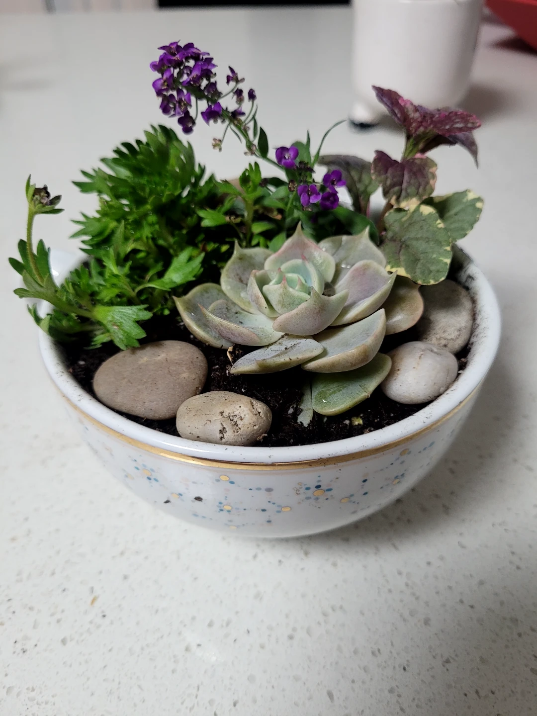 Assorted Succulent and Flowering Plant Terrarium - photo 4
