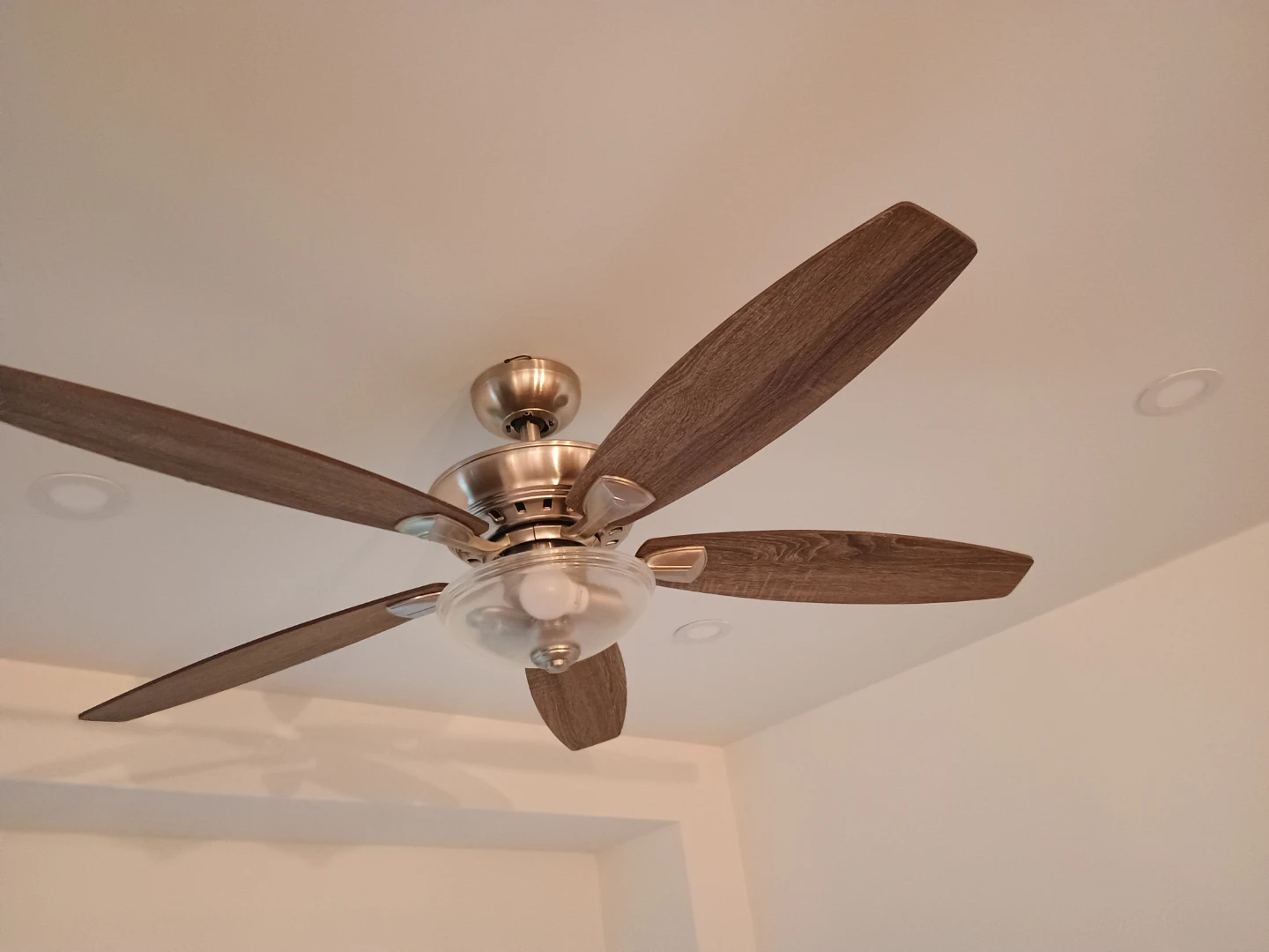 Ceiling Fan