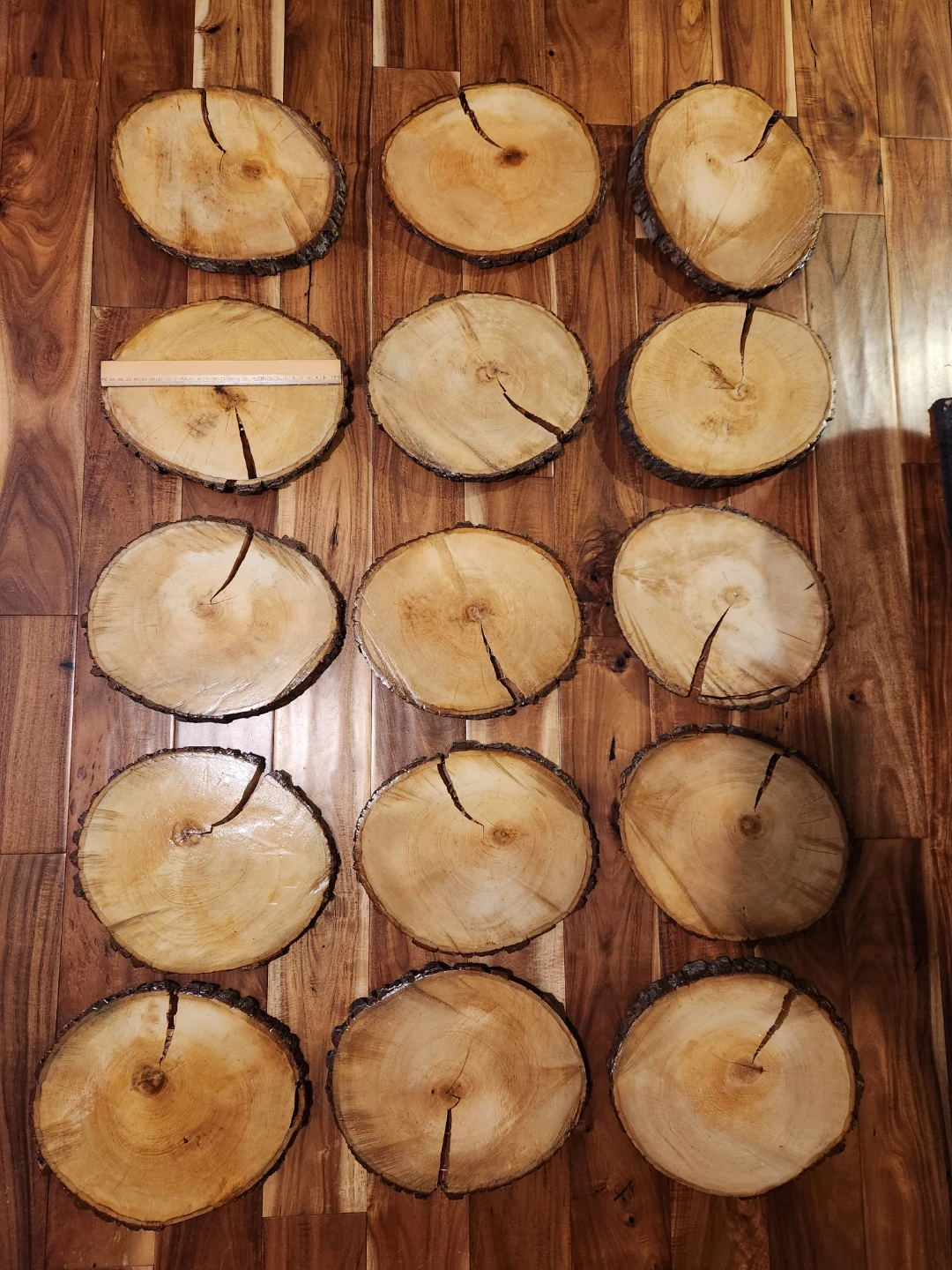 Wood Slices / Log Rounds / Tree Cookie Centrepieces