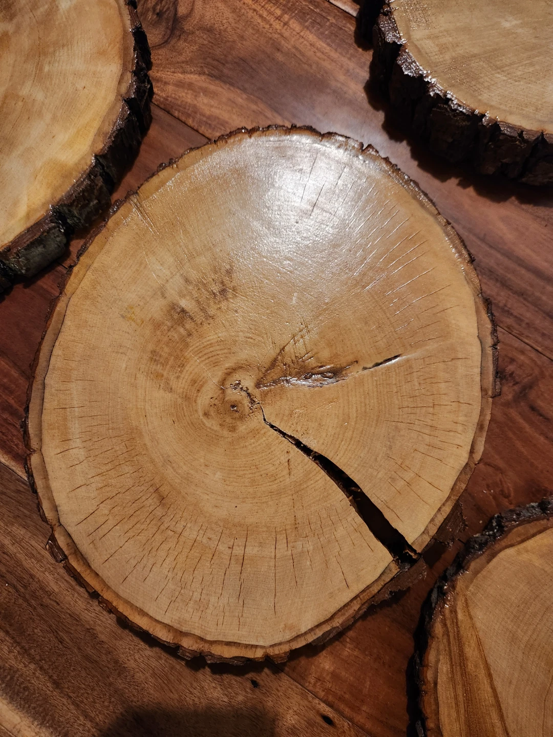 Wood Slices / Log Rounds / Tree Cookie Centrepieces - photo 3