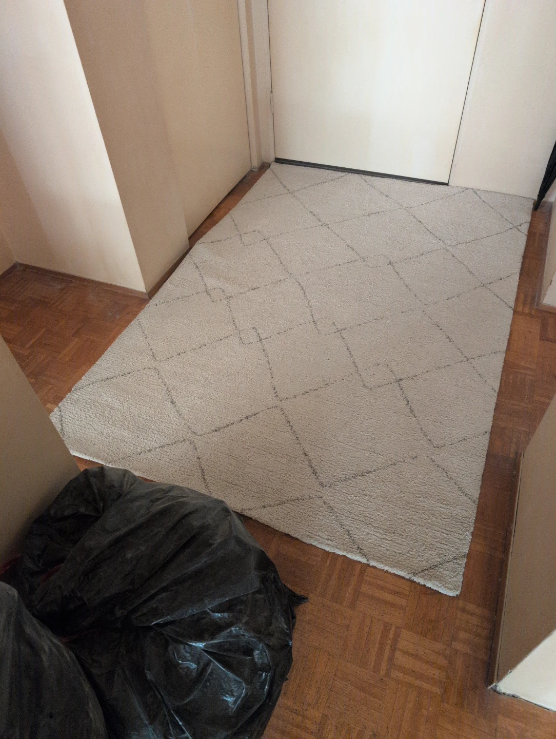 Area Rug with Diamond Pattern