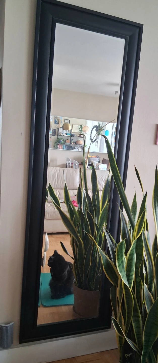 Full Length Black Framed Mirror