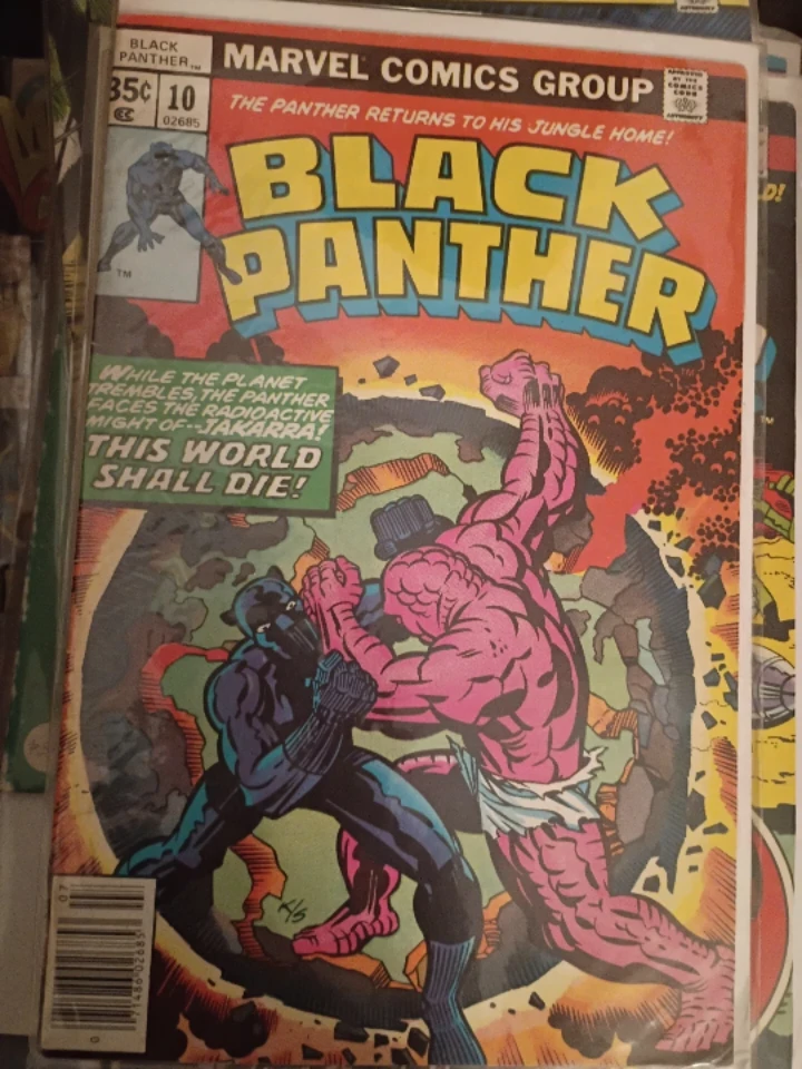 Black Panther Comic Books - Issues 8, 9, 10, 11 - photo 5