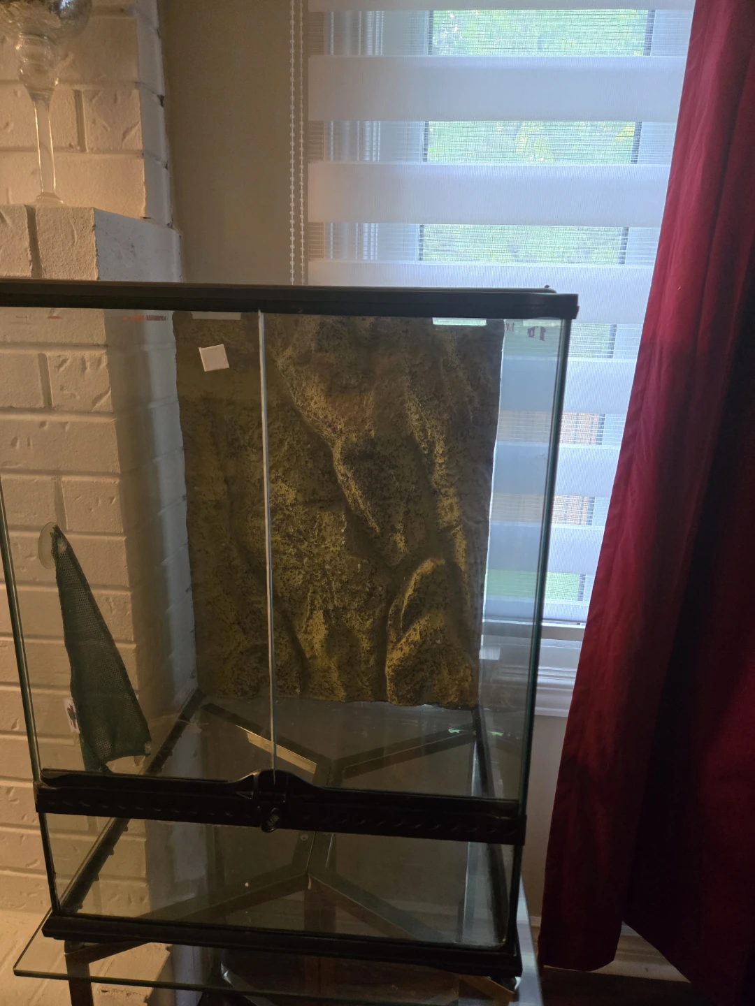 Terrarium Tank with Background