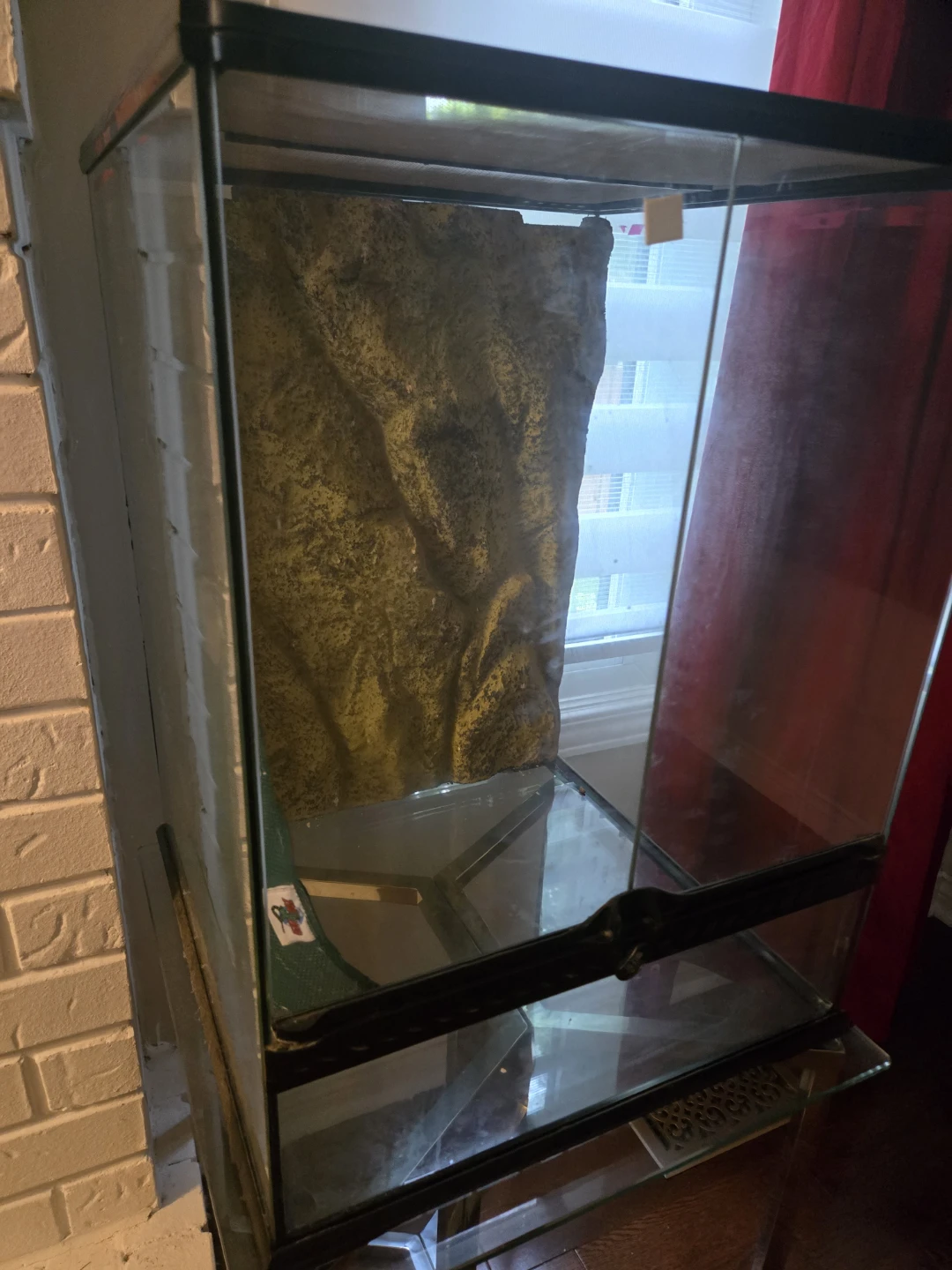 Terrarium Tank with Background - photo 2