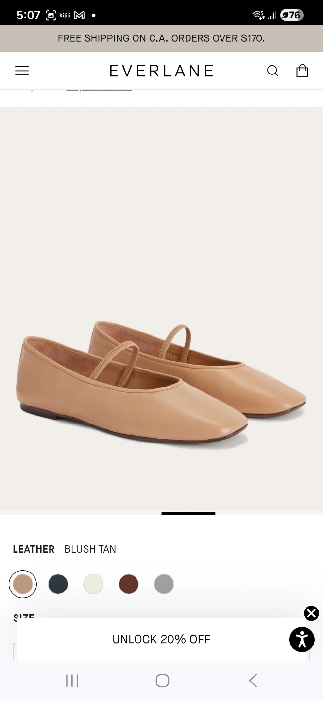Brand new Everlane The Mary Jane Flat Shous 8.5