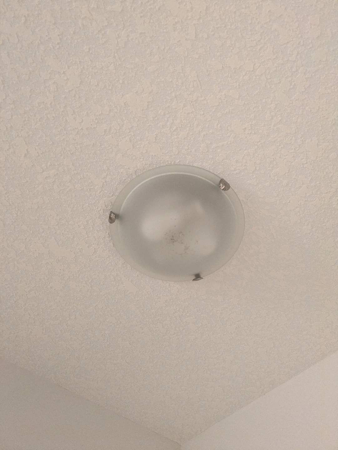 Flush Mount Ceiling Light Fixture - 2 Bulbs