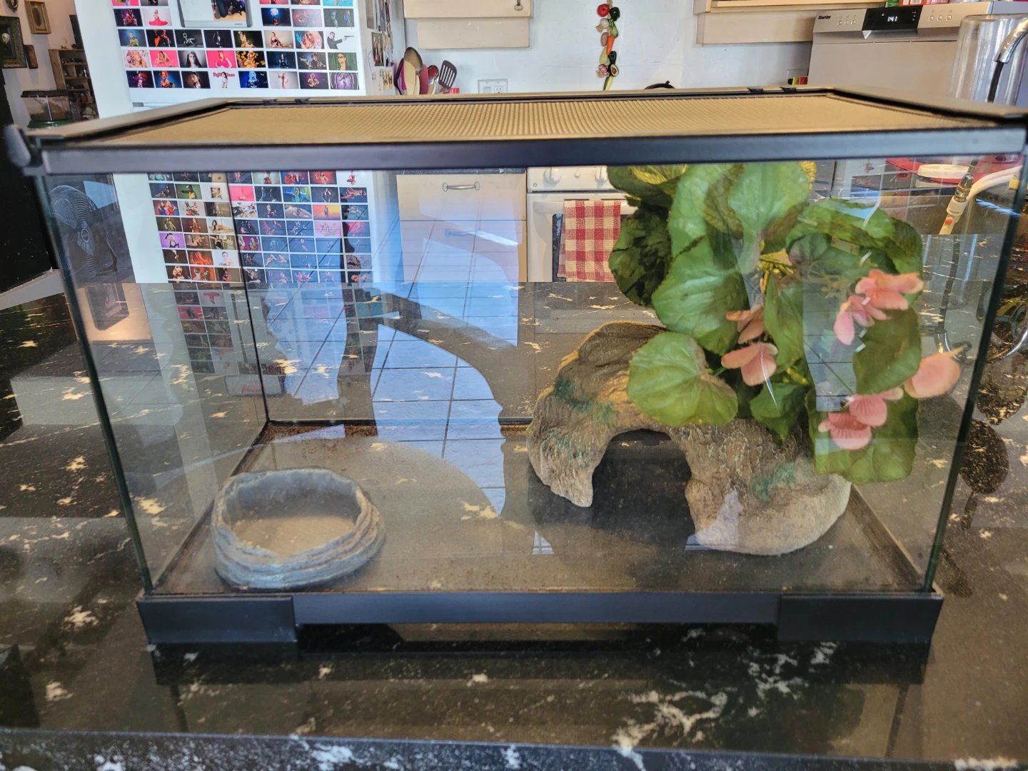 Small Animal Terrarium