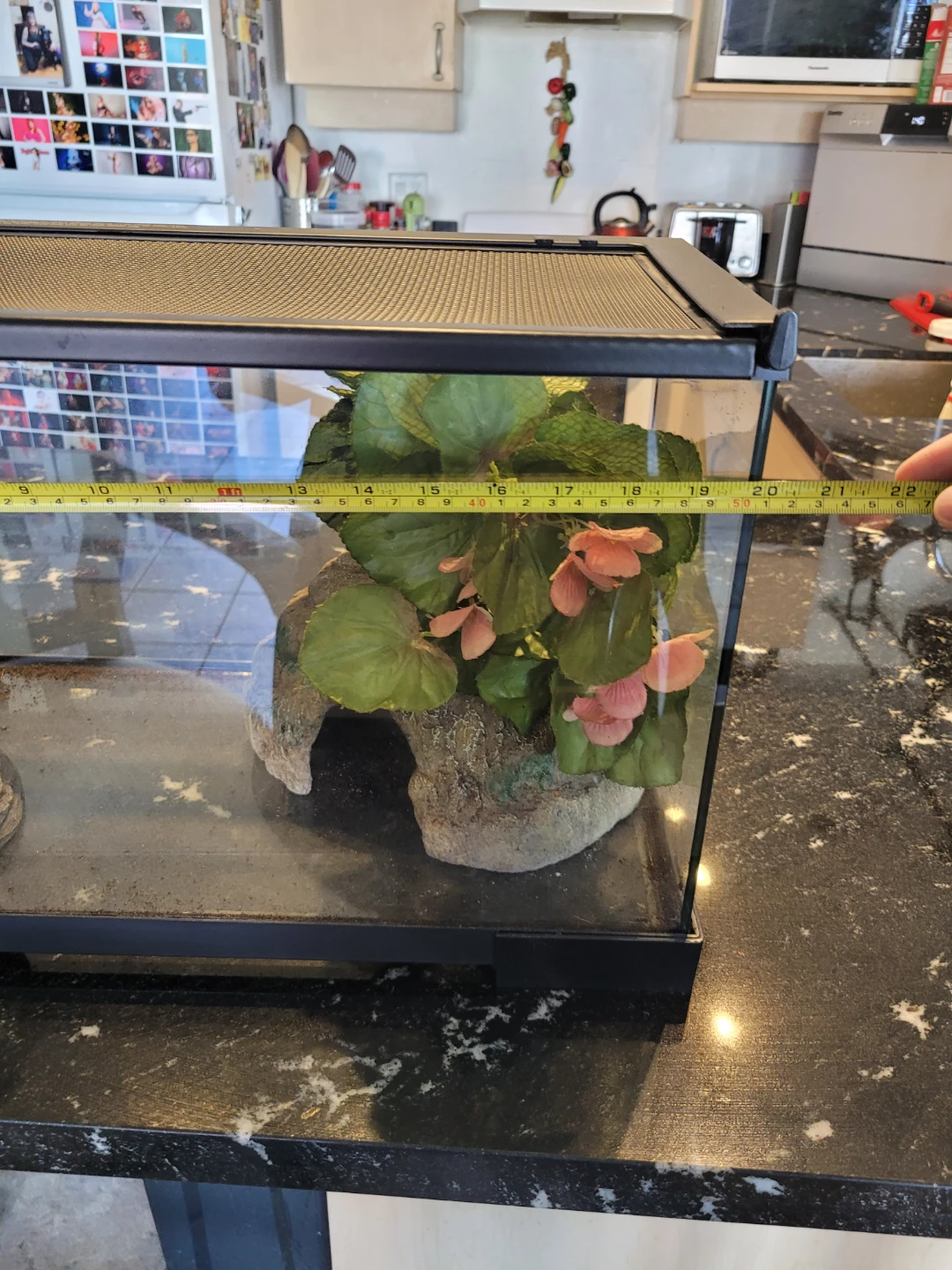 Small Animal Terrarium - photo 5