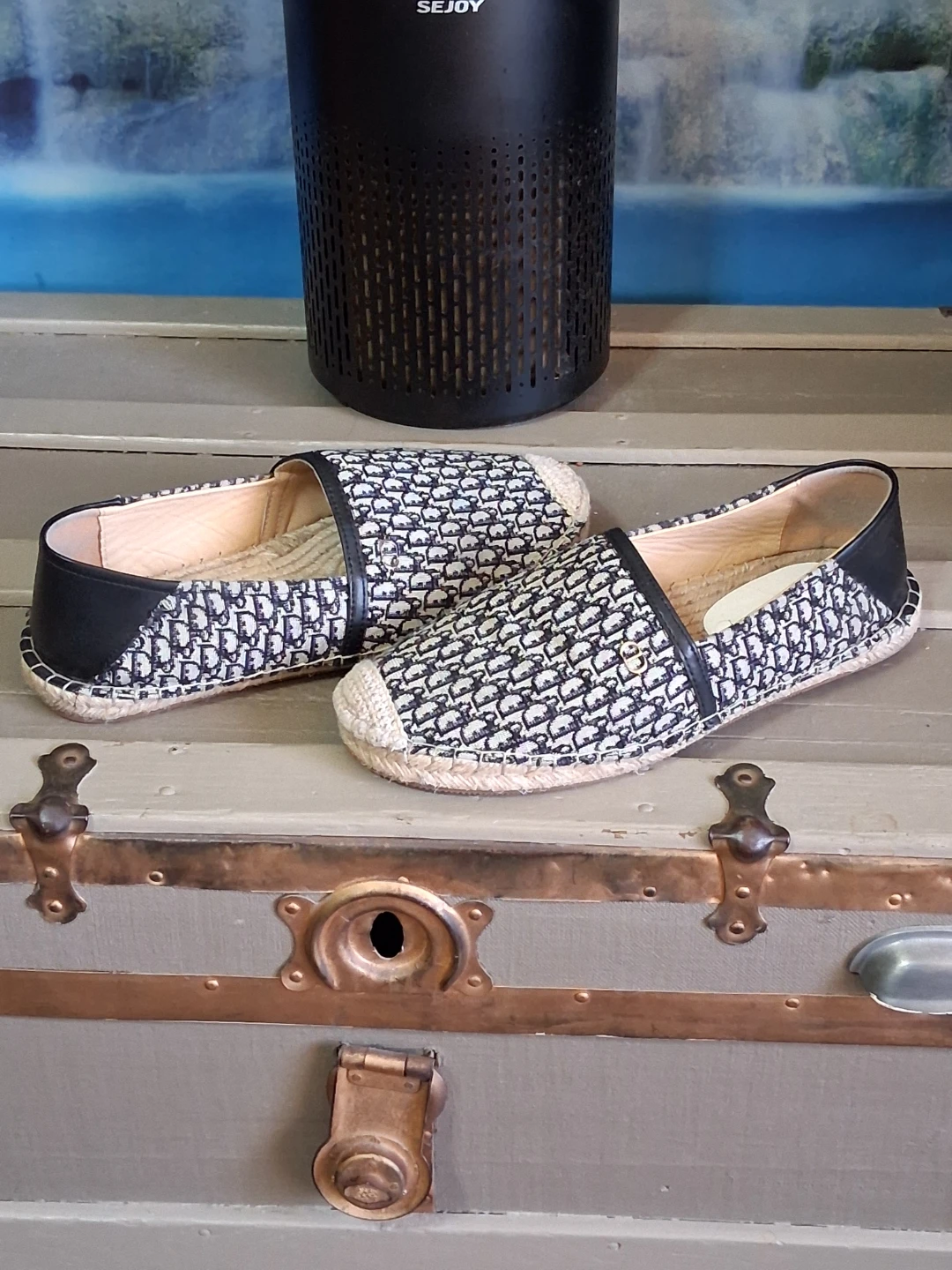Mens Dior Espadrille Flats - photo 4