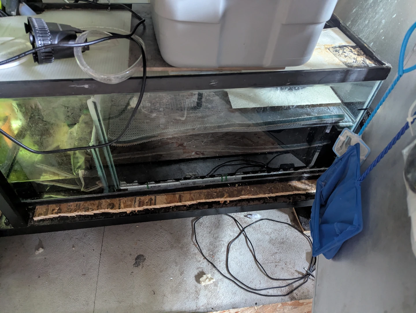 240gal aquarium complete setup - photo 3