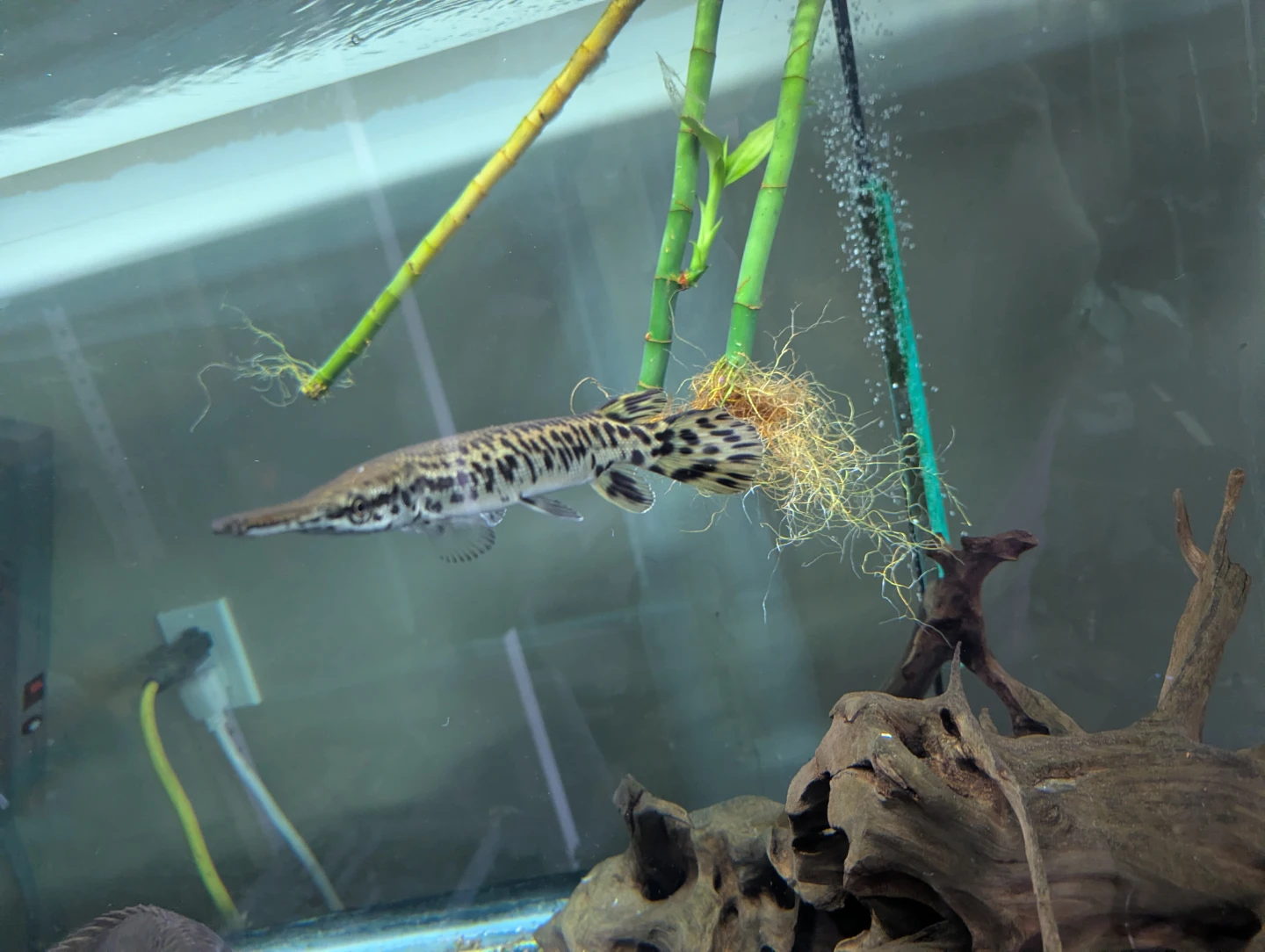 240gal aquarium complete setup - photo 4