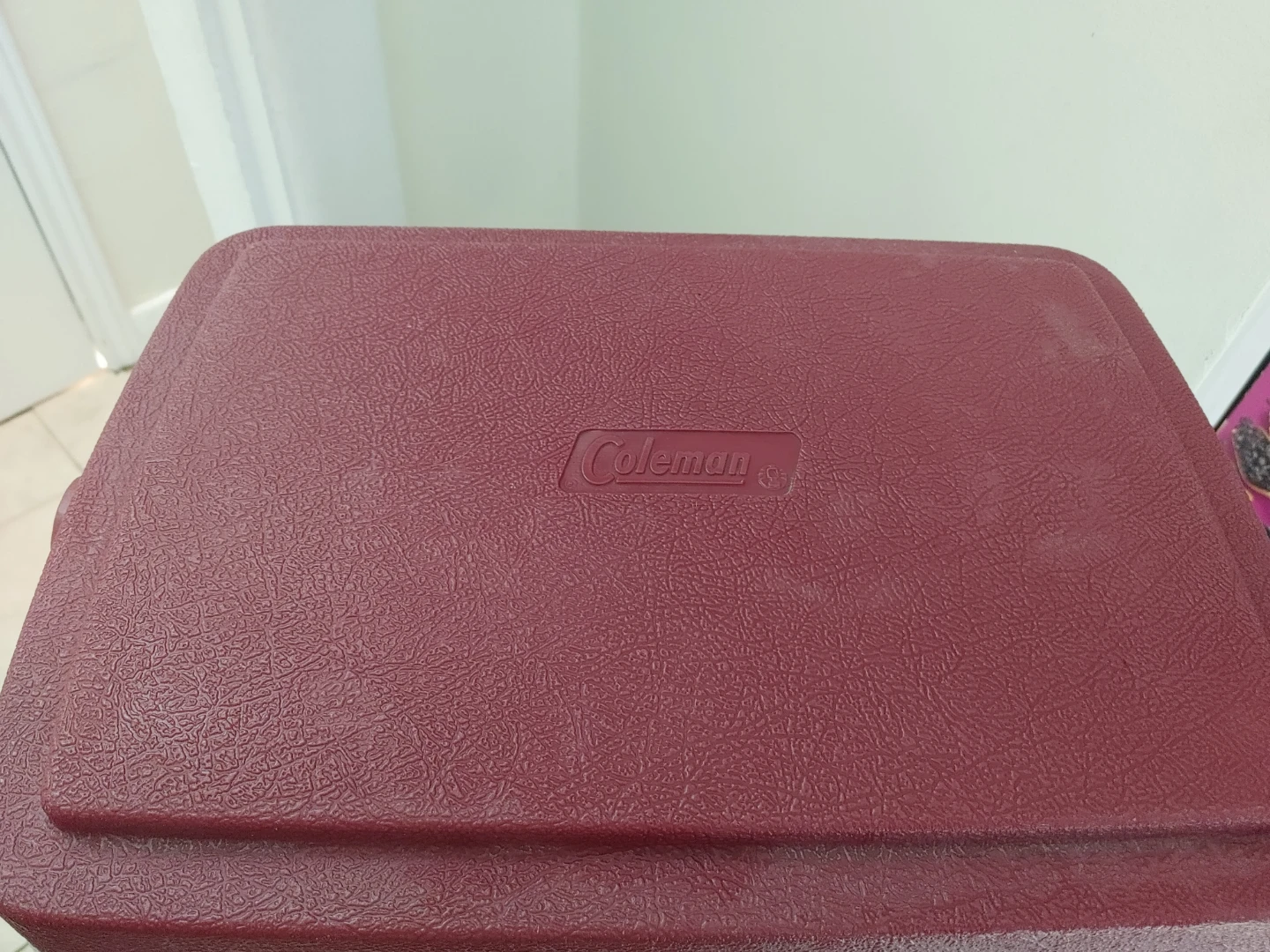 Coleman Super Oscar Cooler - photo 5