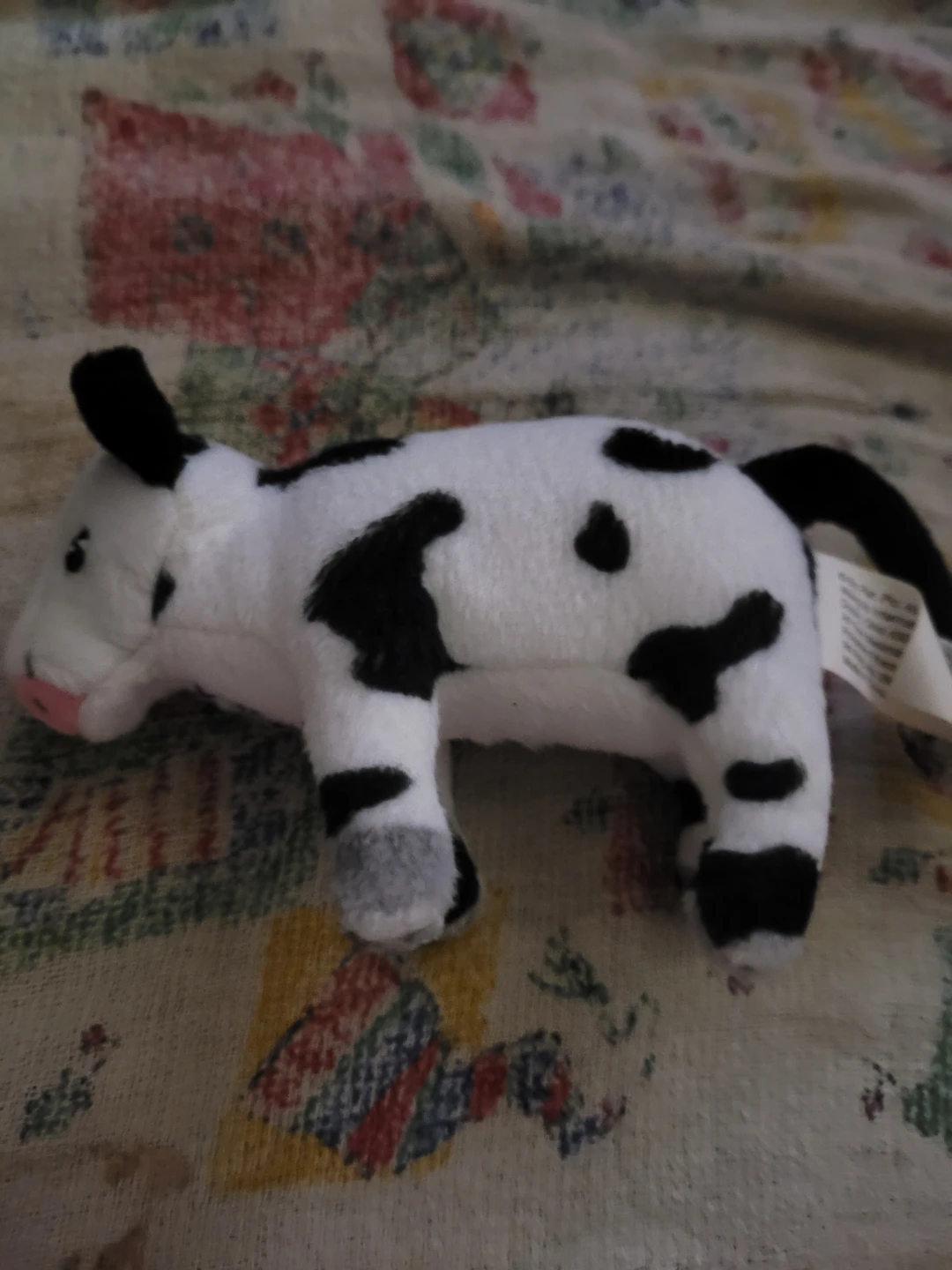 Wendys cow stuff animal