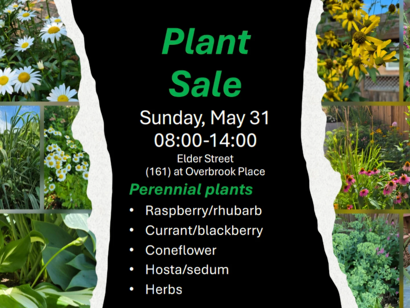 Plant sale