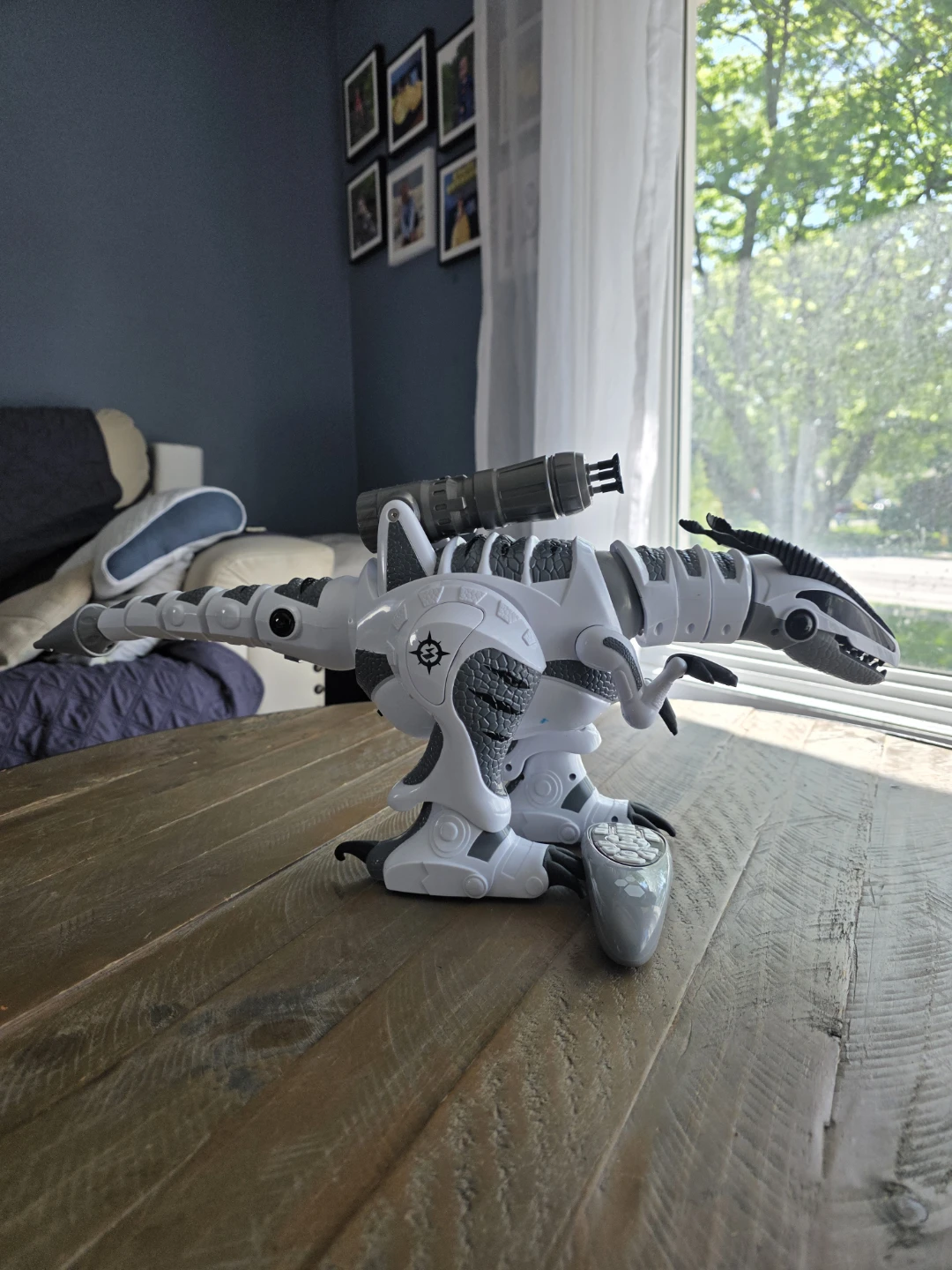 Remote Control Dinosaur Toy
