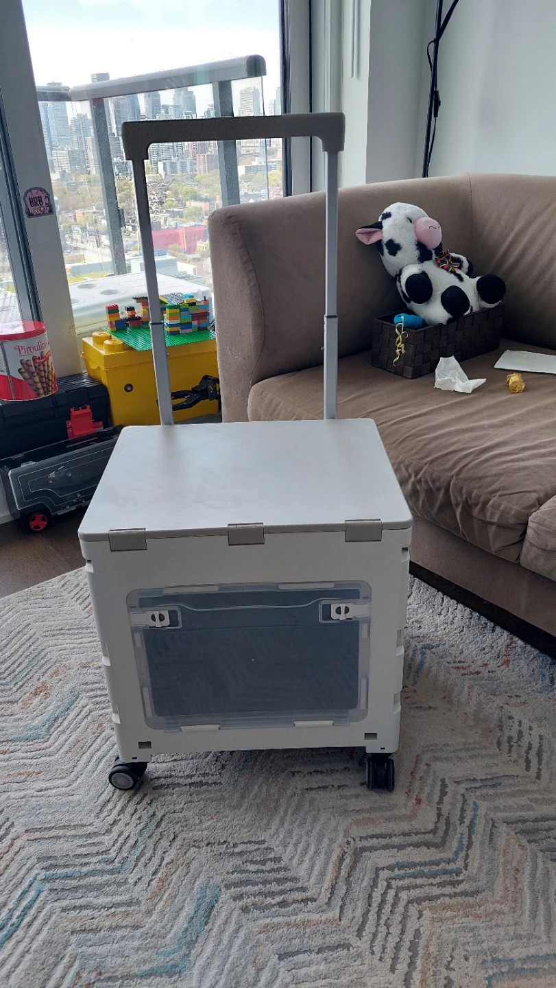 Collapsible Rolling Cart with Handle