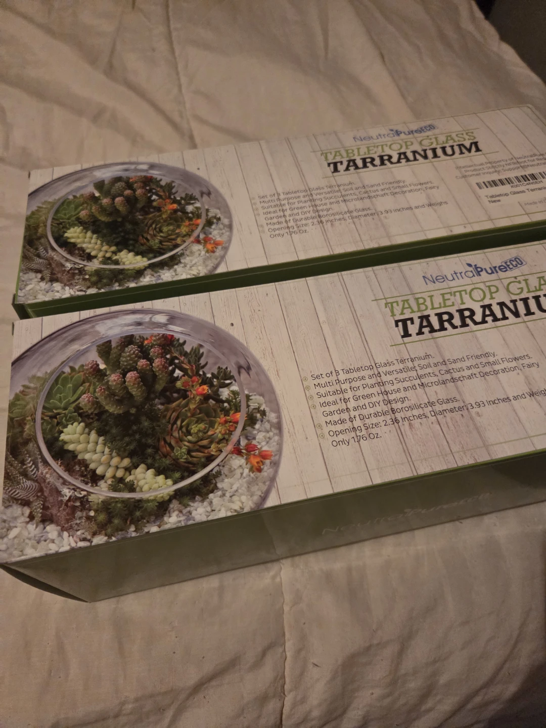 Teranium Glass Bowls