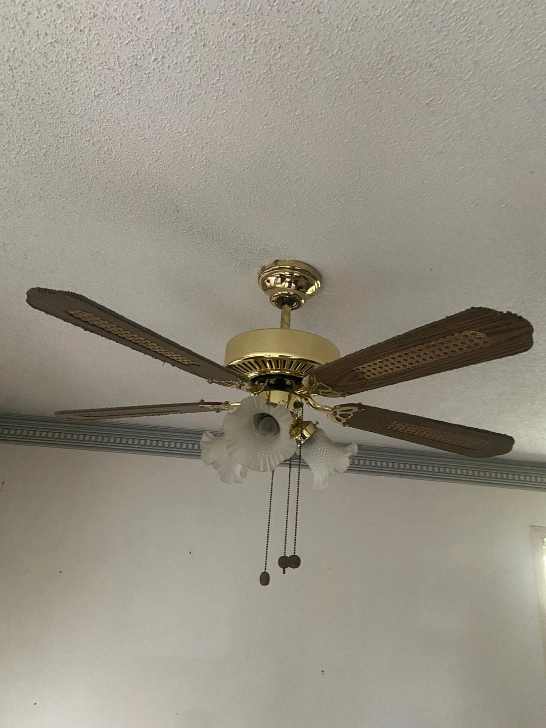 5-Blade Ceiling Fan with Lights - photo 2