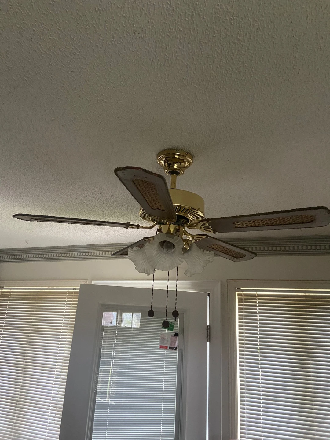 5-Blade Ceiling Fan with Lights - photo 4