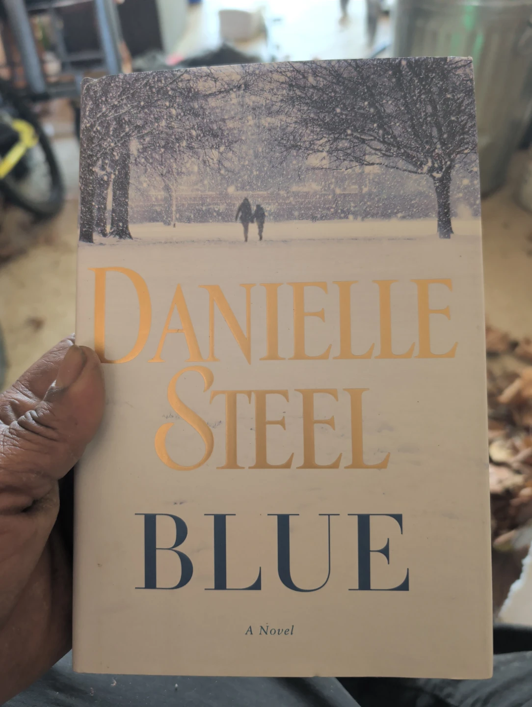 Danielle Steel Novels - Echoes, The Dark Side, Blue - photo 2