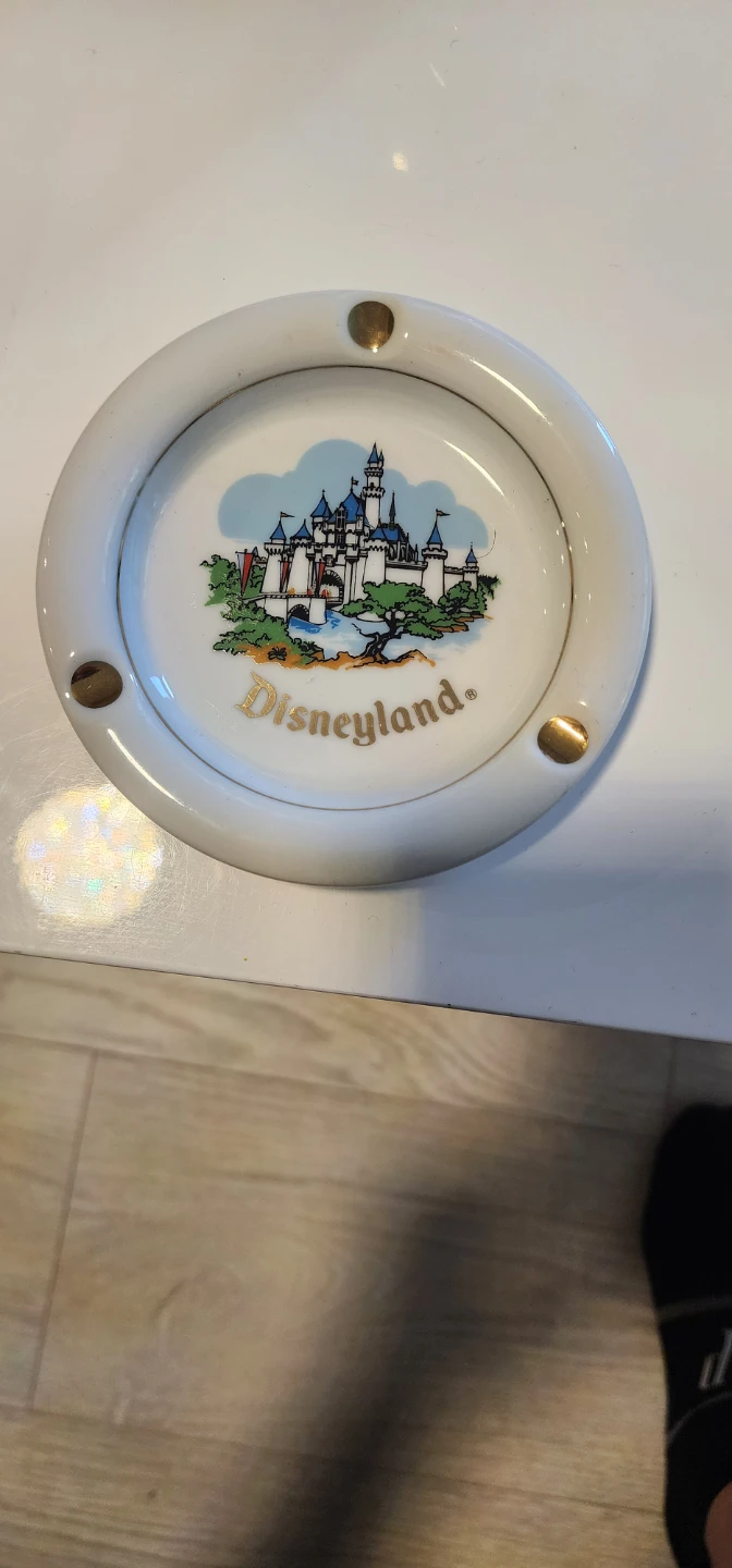 Disneyland Souvenir Plate