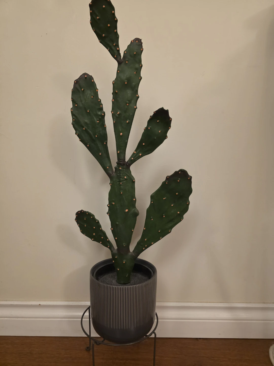 Potted Cactus Plant