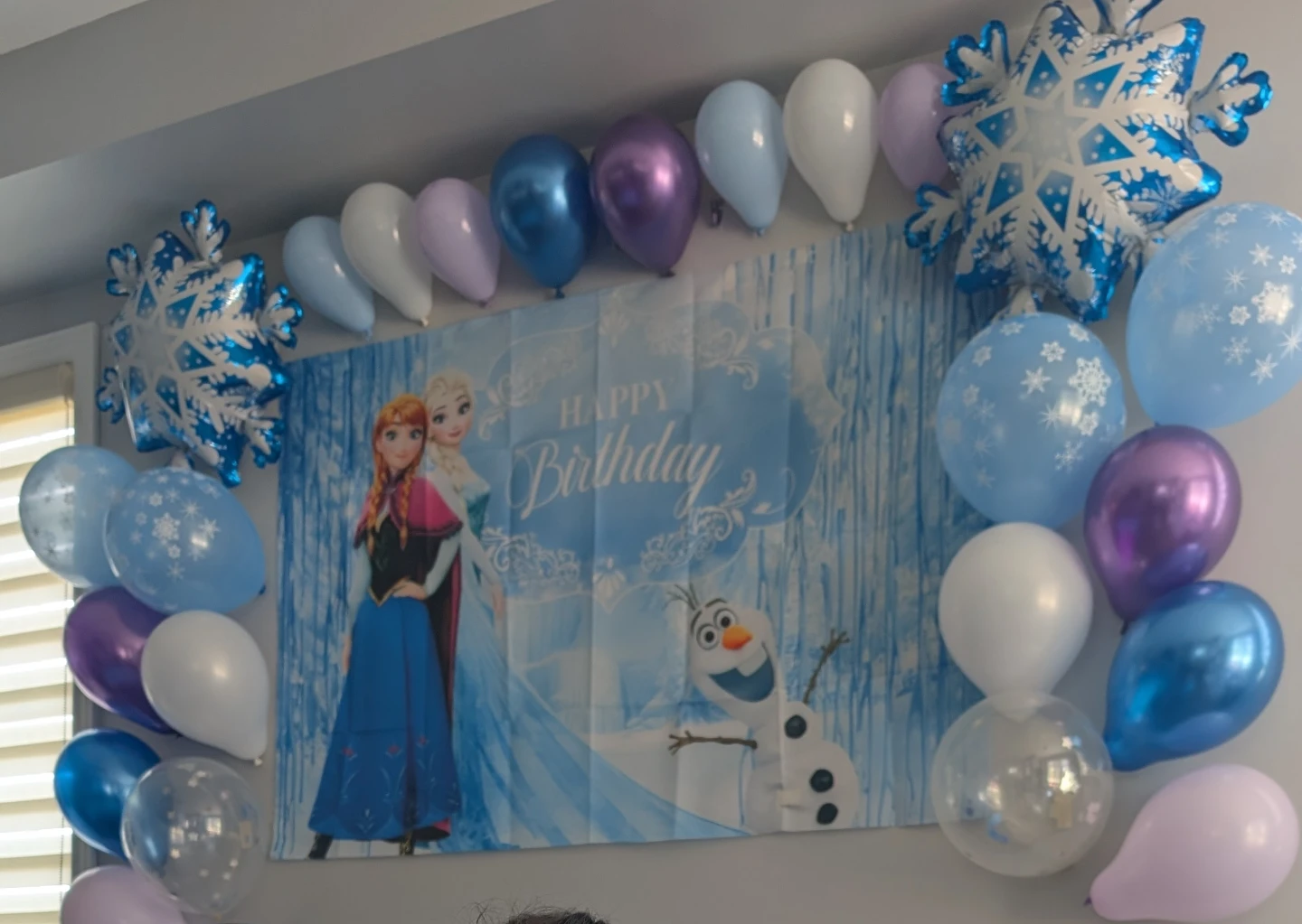 Frozen Birthday Banner & Balloon Set