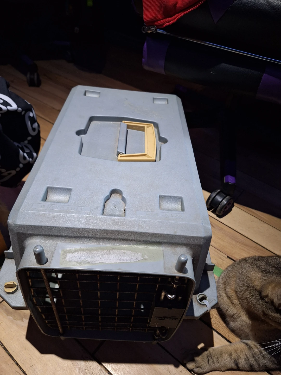 Pet Carrier