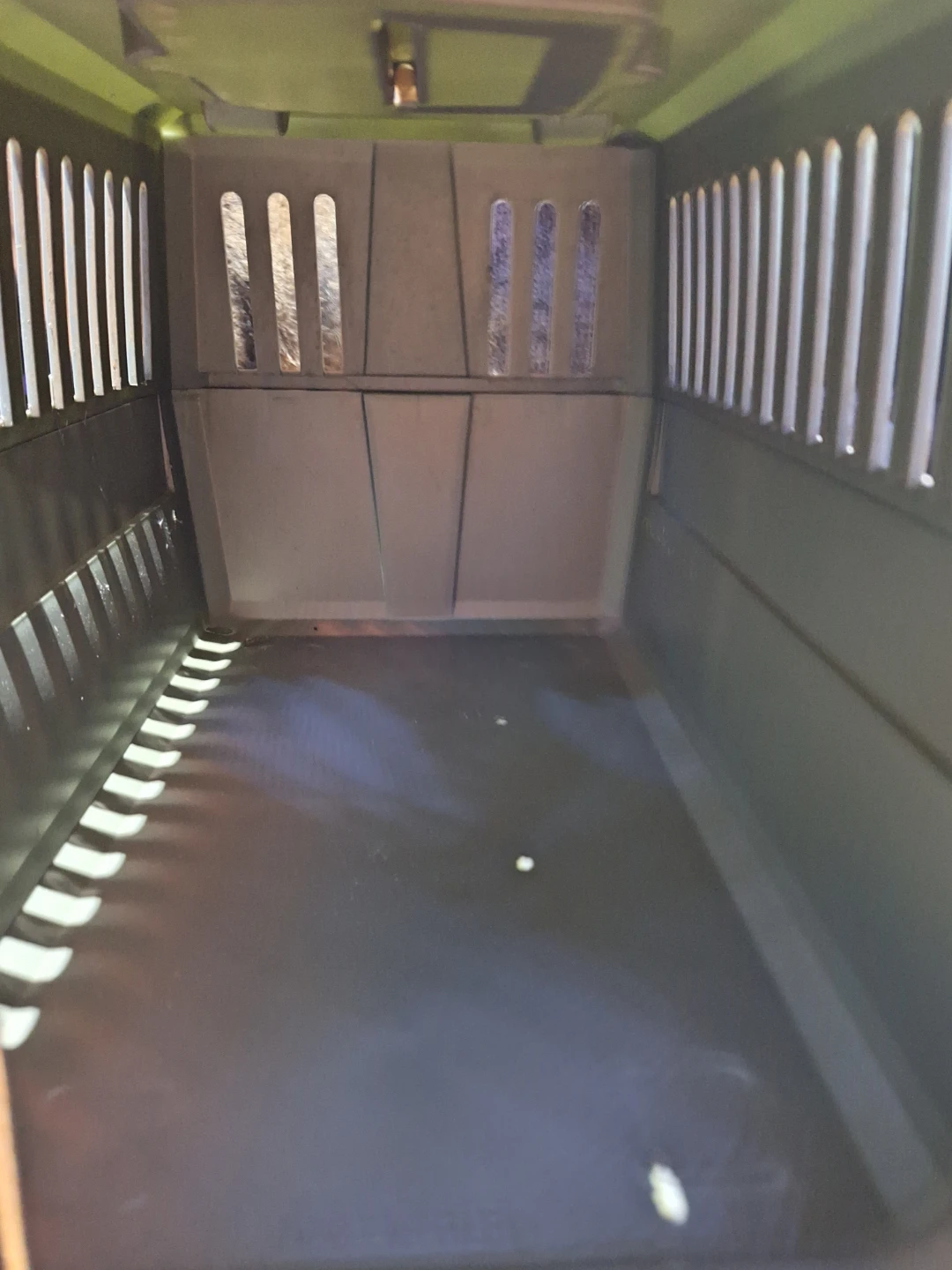 Pet Carrier - photo 3