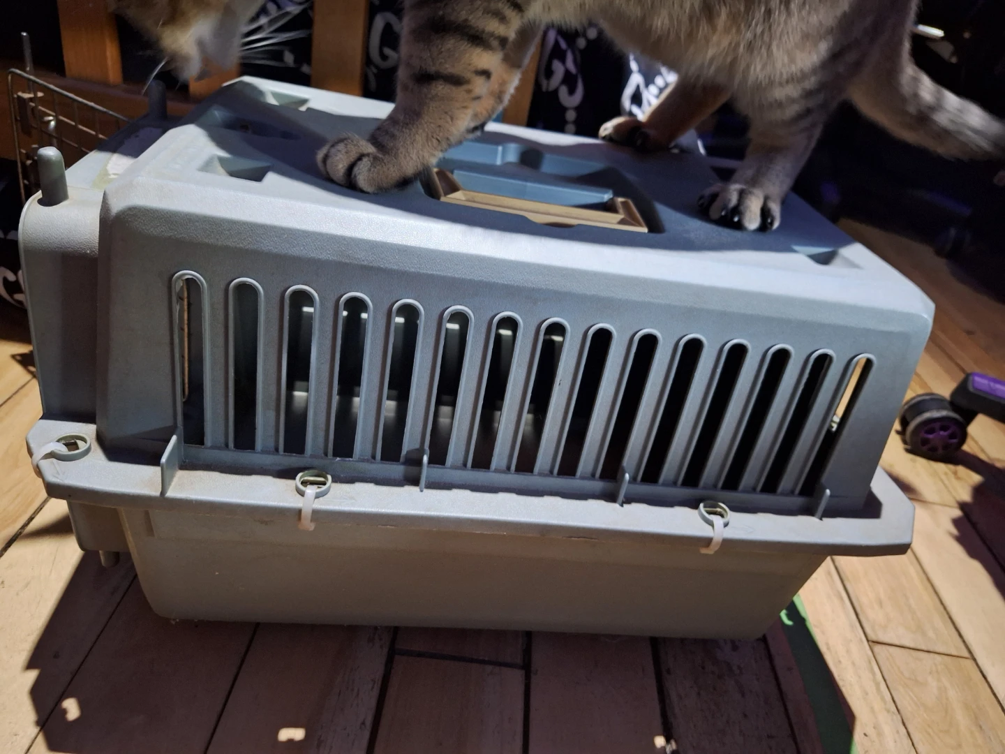 Pet Carrier - photo 4