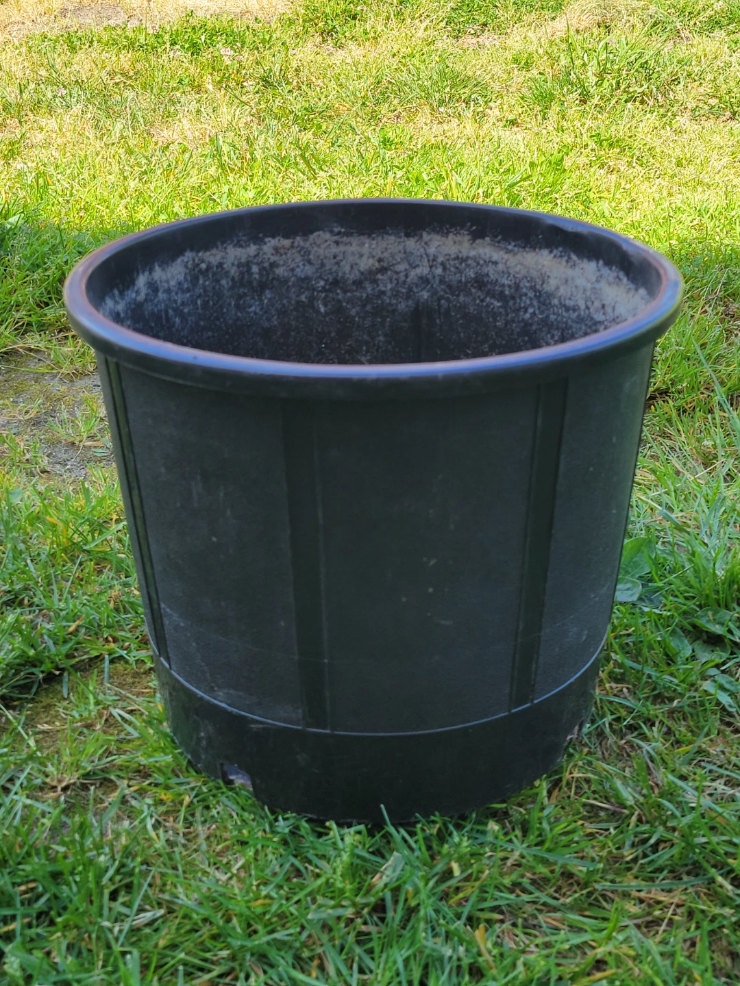 Black pots