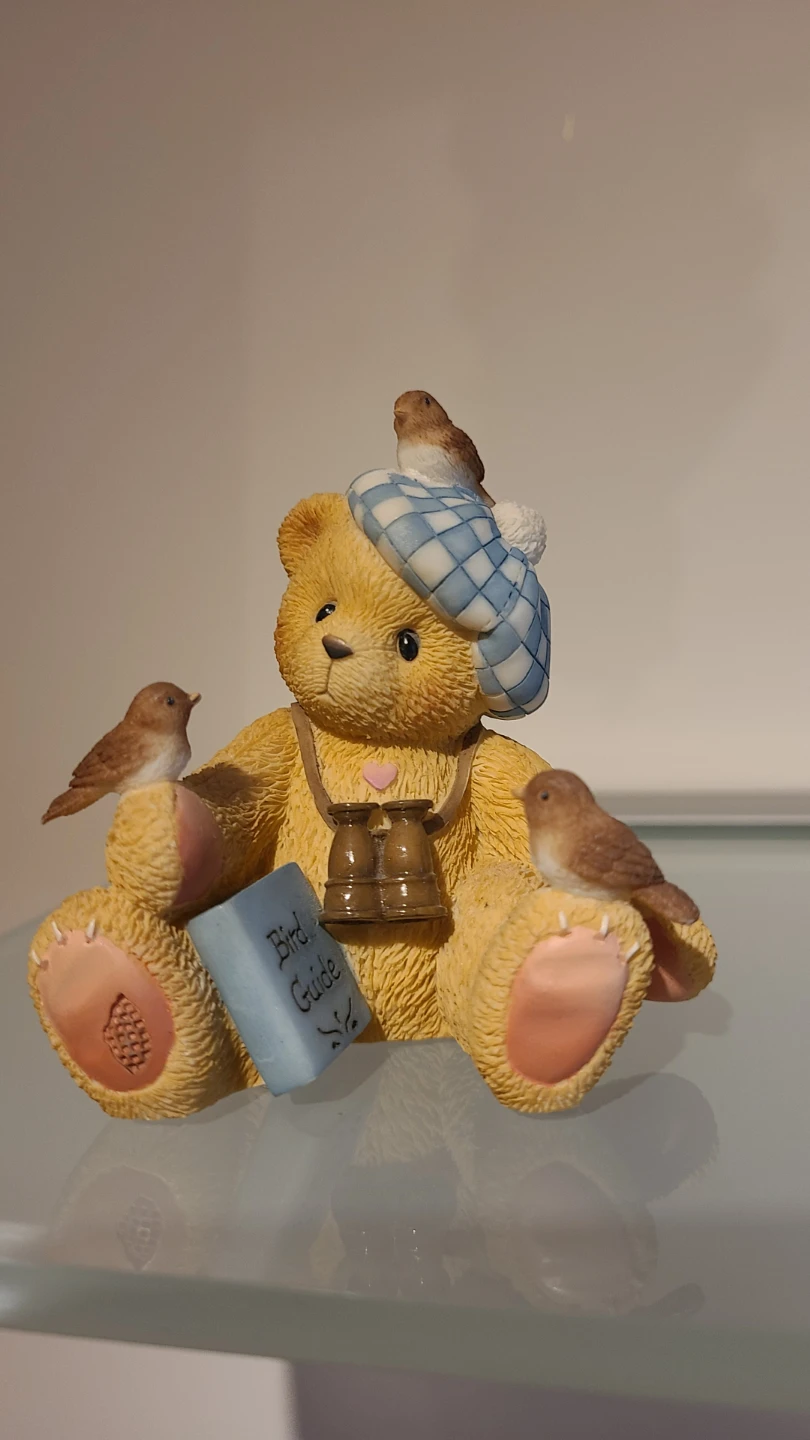 Cherished Teddies "Birder" Figurine