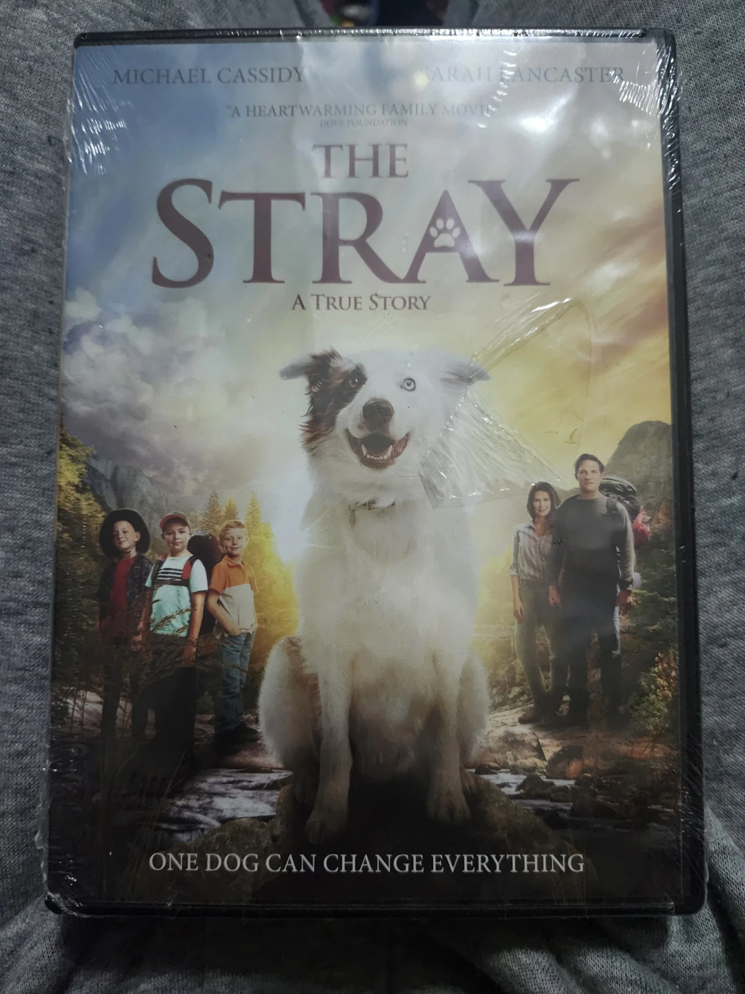 The Stray: A True Story DVD