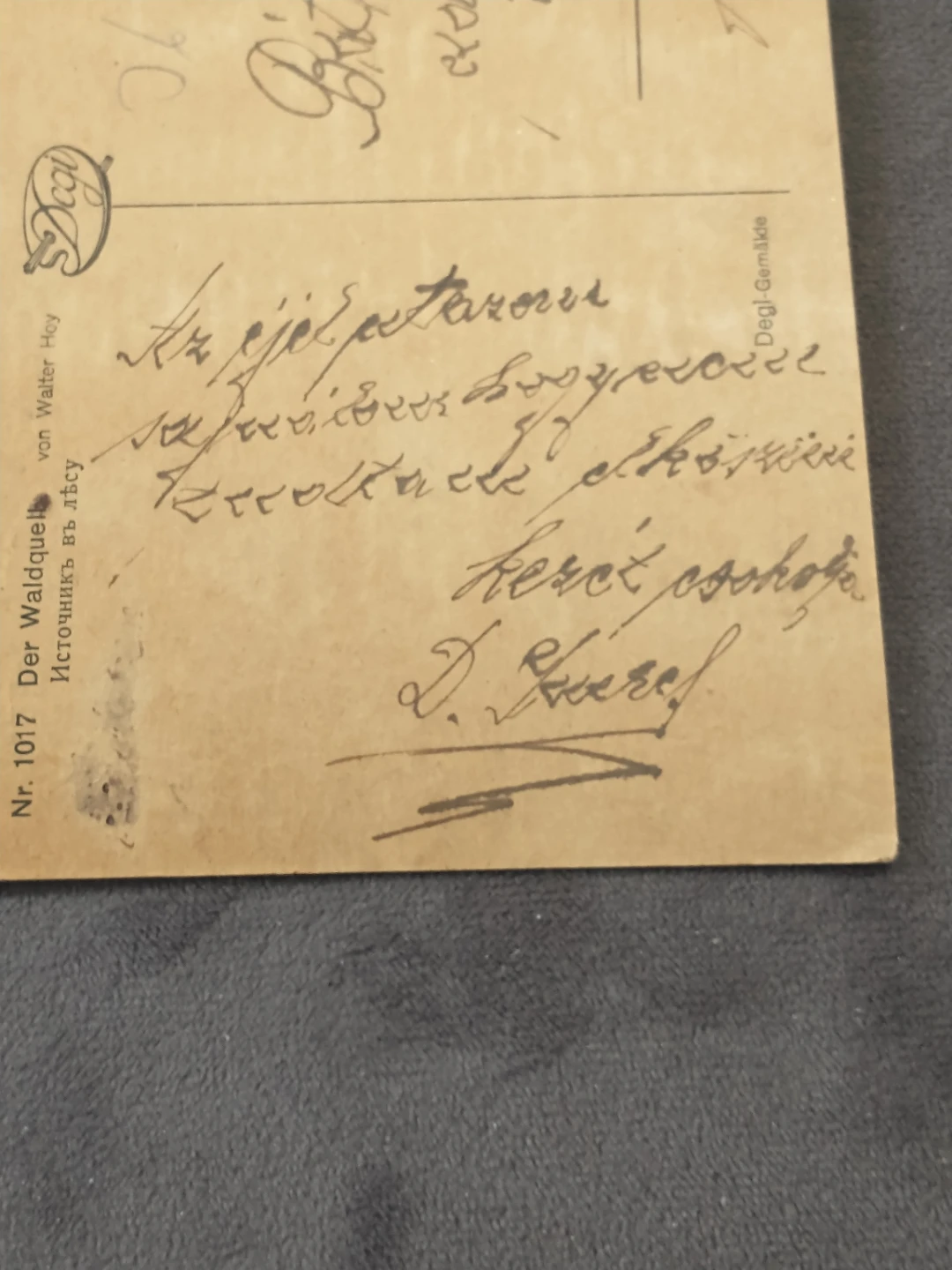 Nice 1918 postcard of forest, mailed within Hungary - photo 4