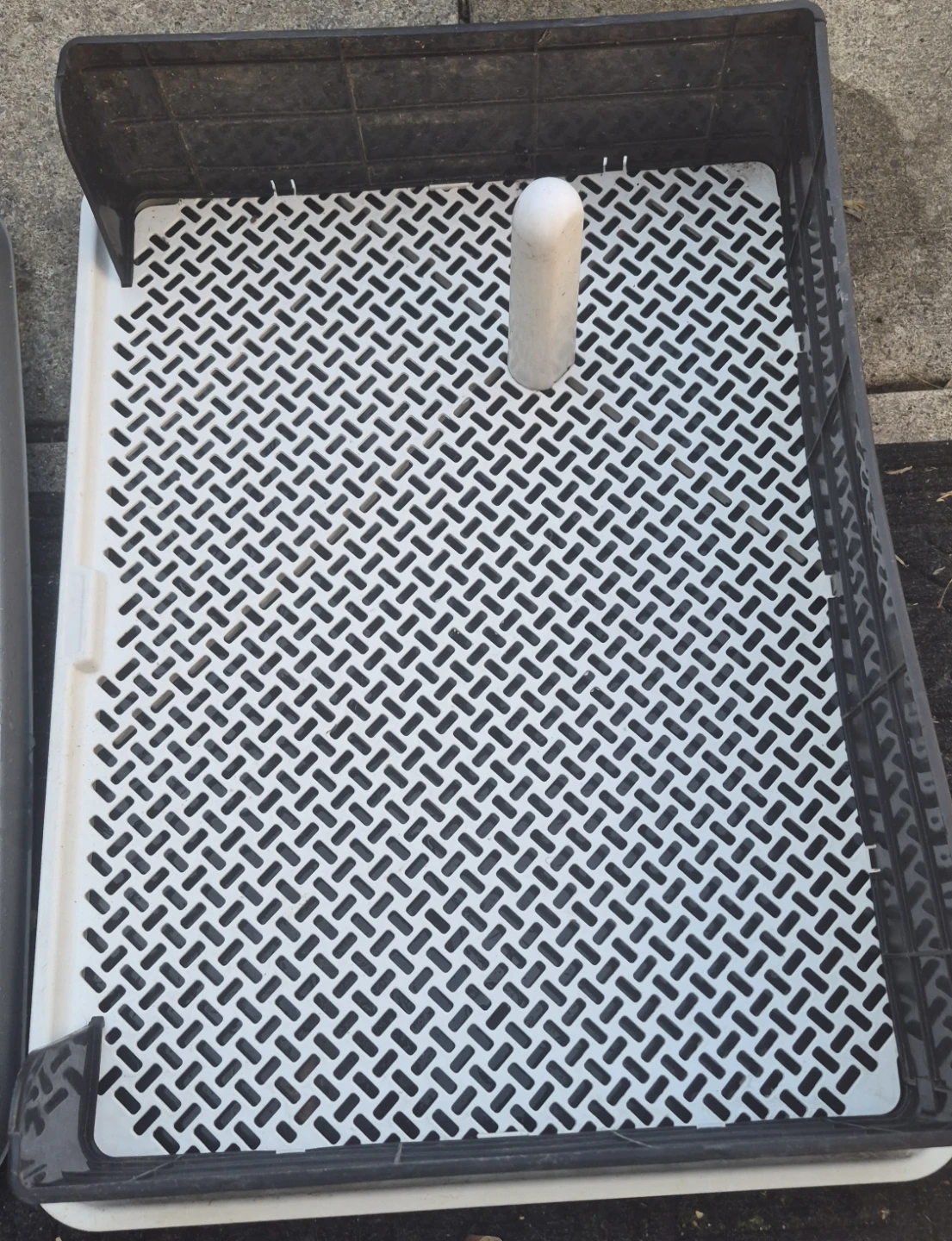 Pet Potty Training Tray