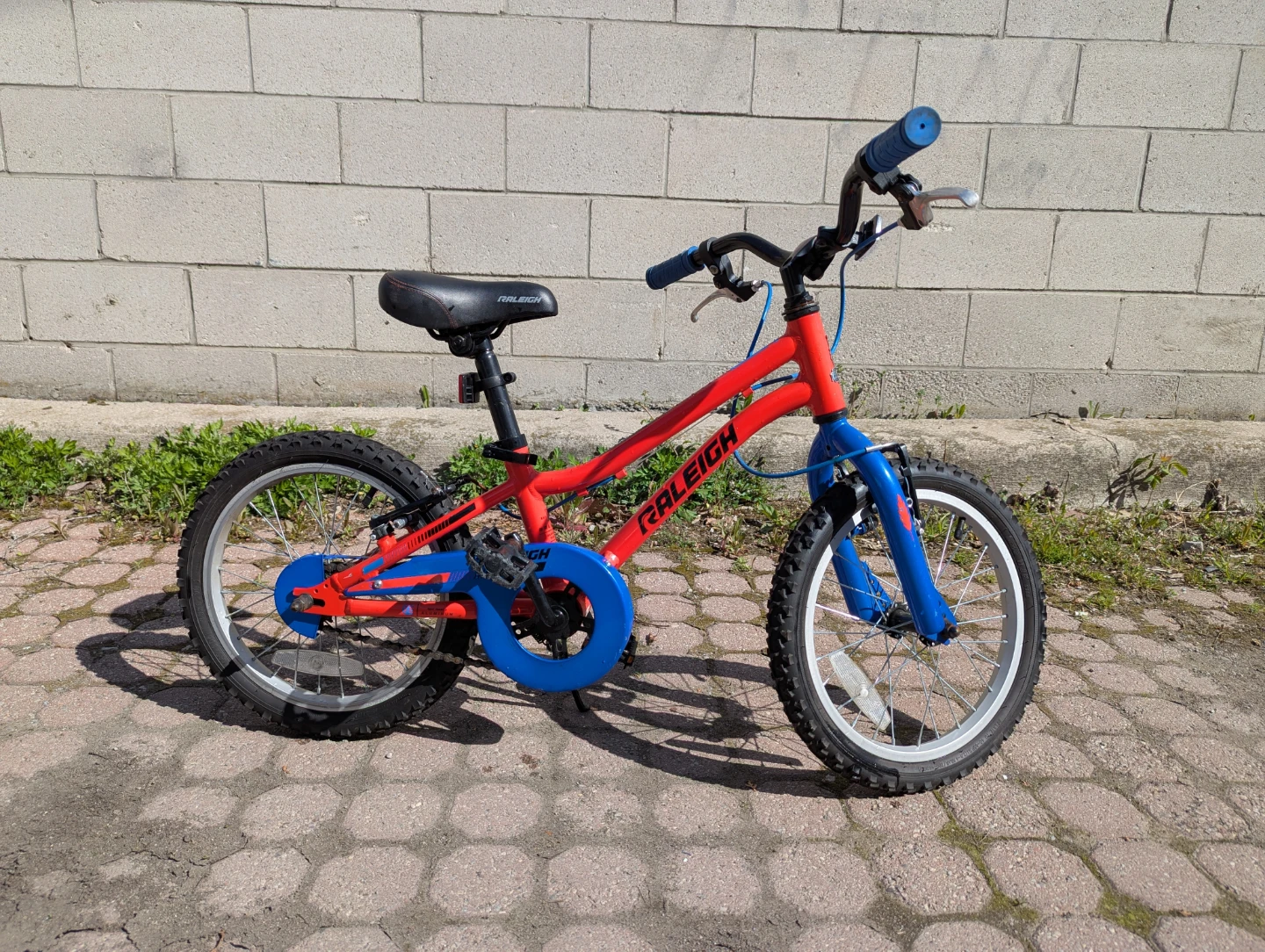 Raleigh Red Kids Bicycle