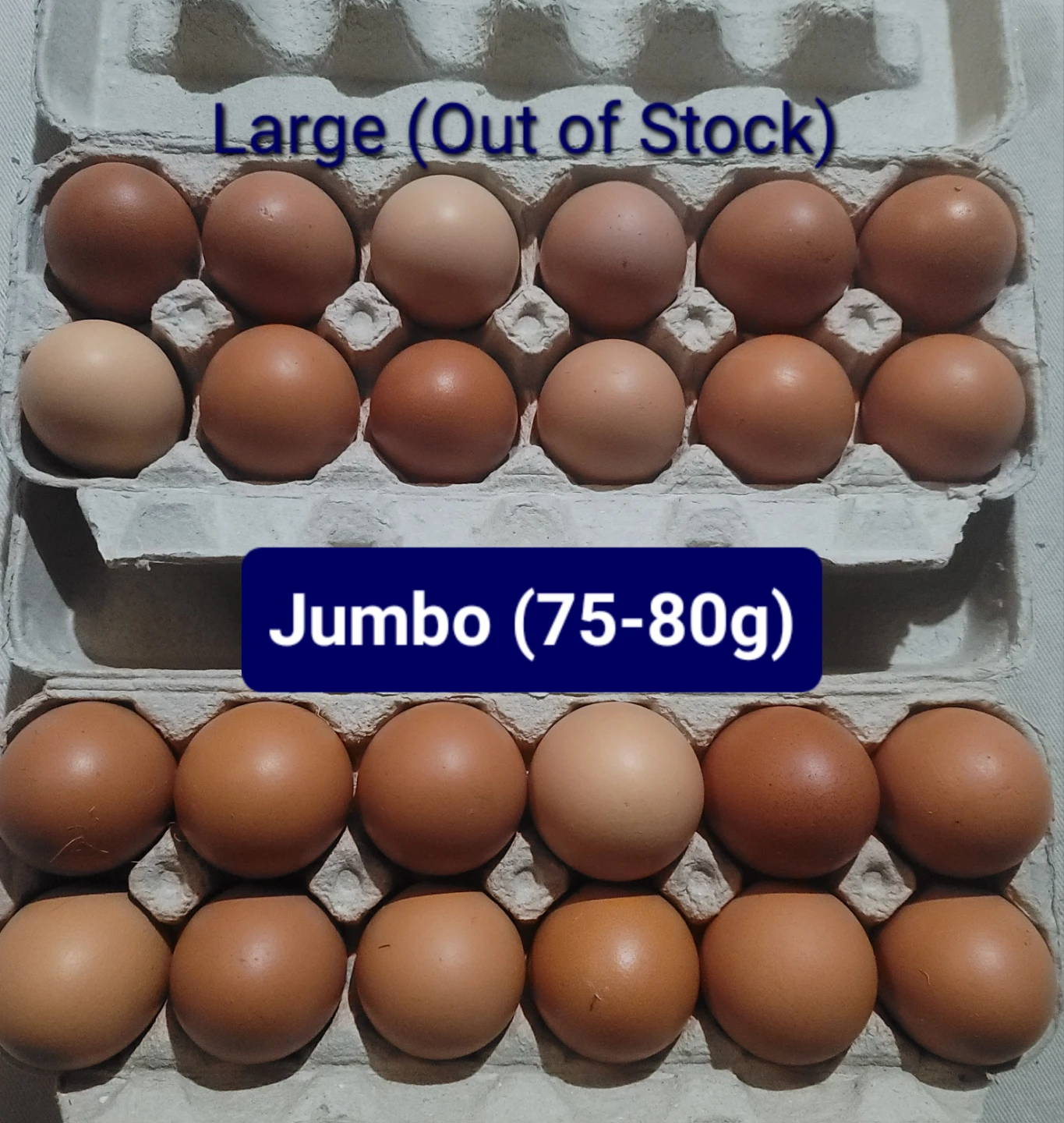 Jumbo 77g Brown Eggs
