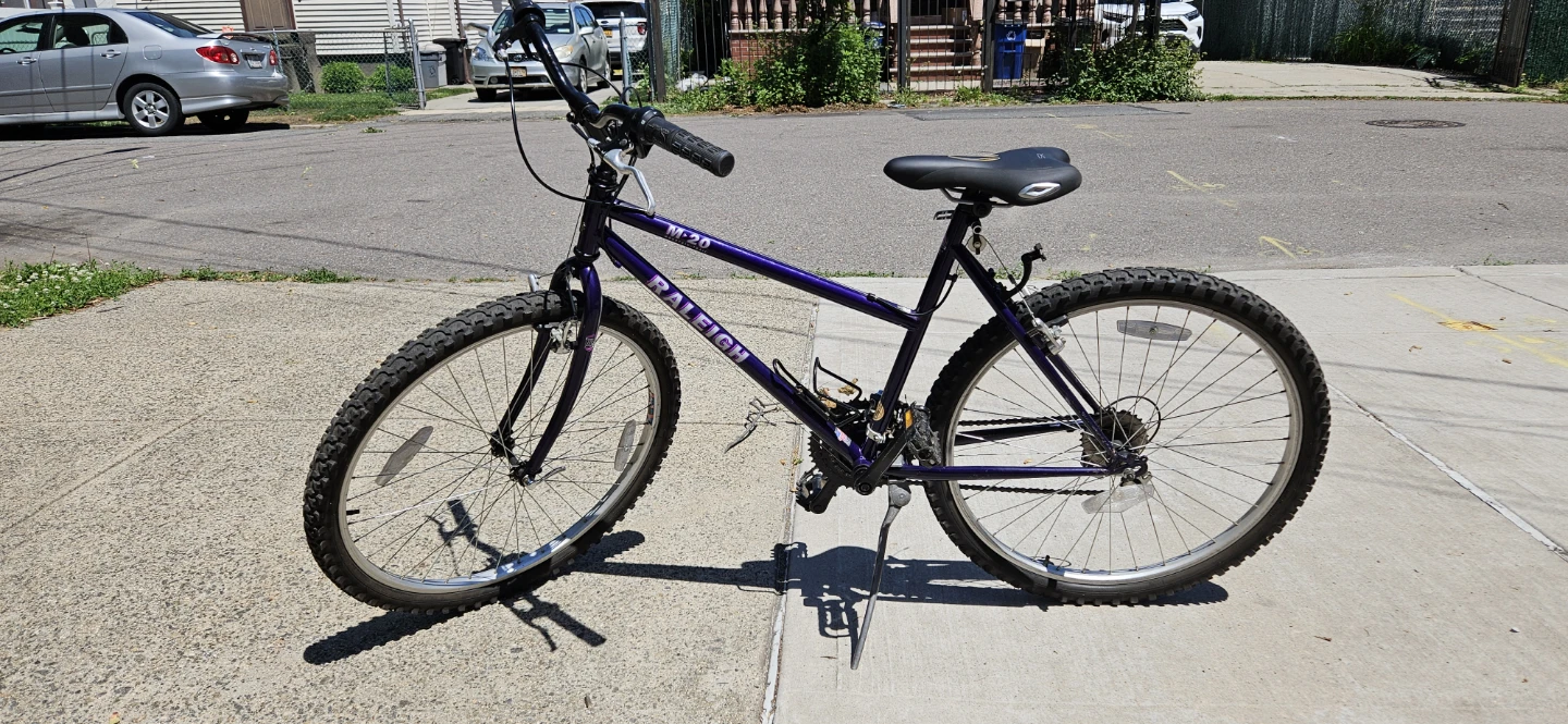 Raleigh M-20 Mountain Bike