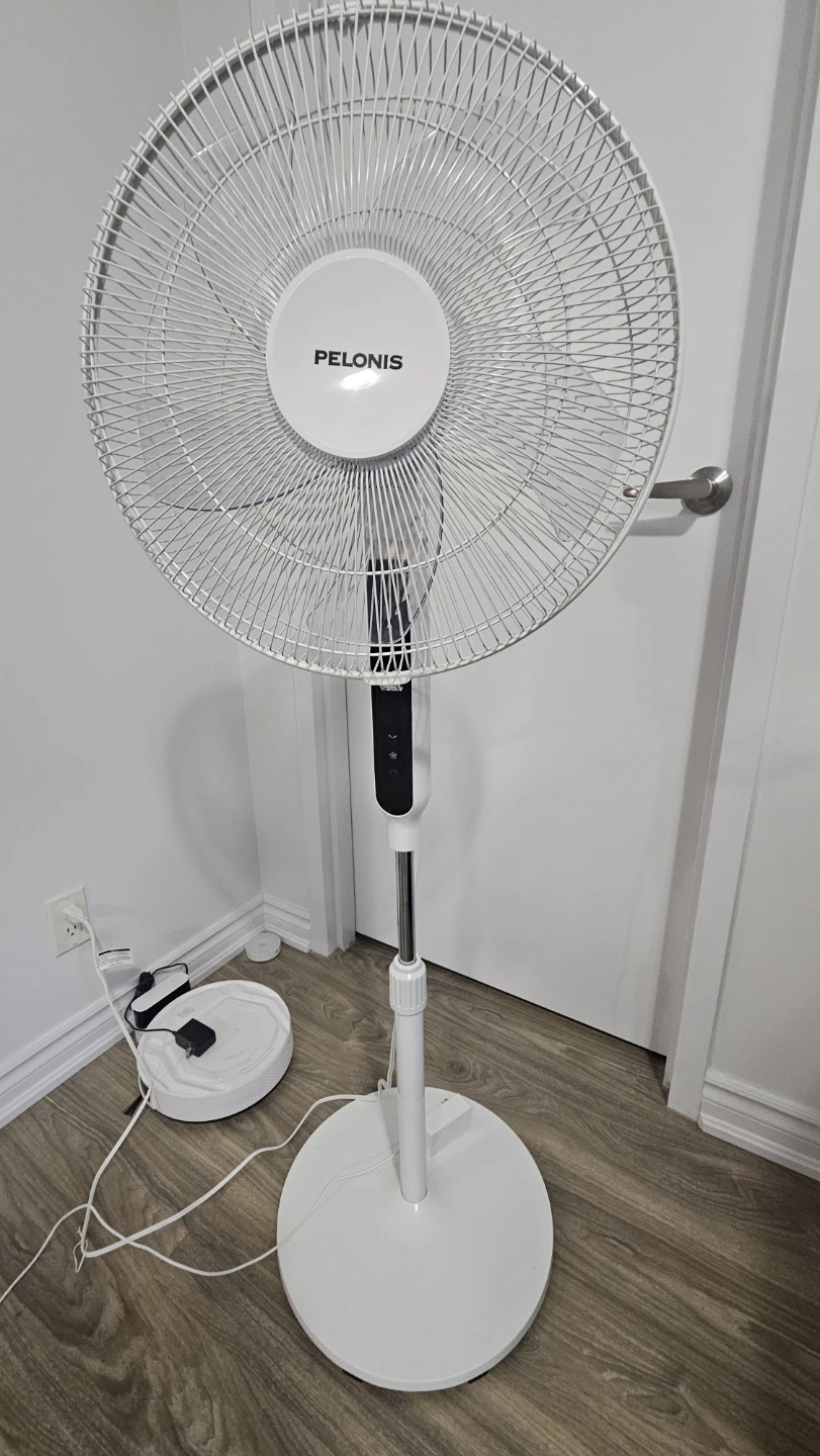 Rush Sale - Pelonis White Pedestal Fan ($55)