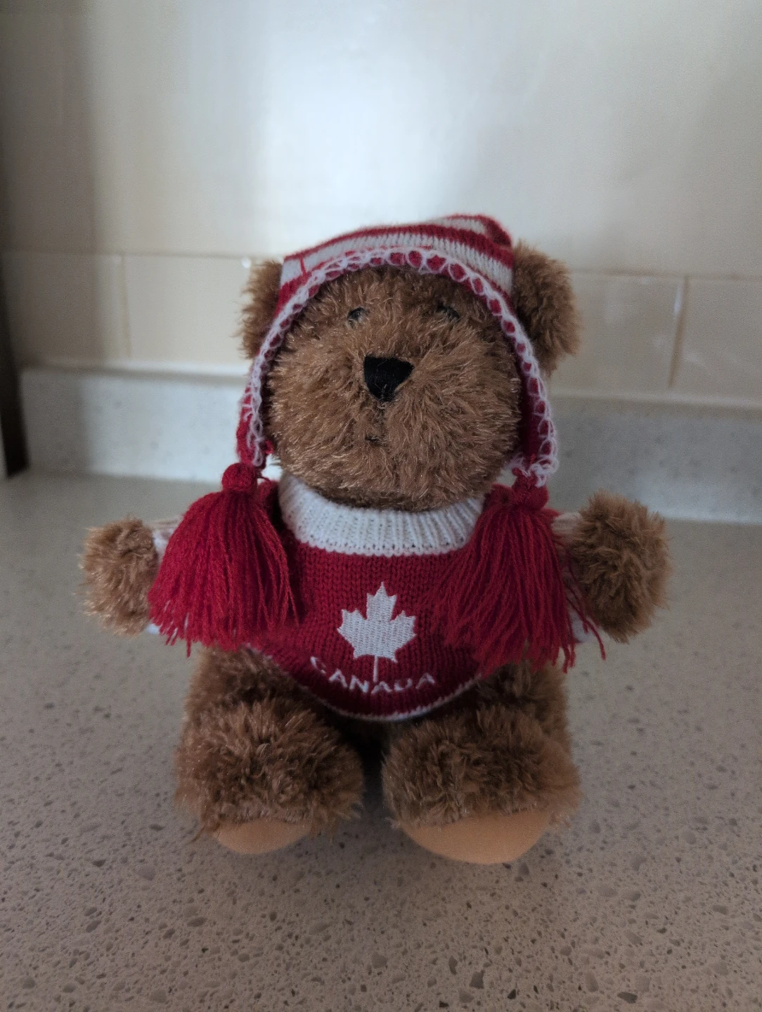 Canadian Teddy Bear Plush