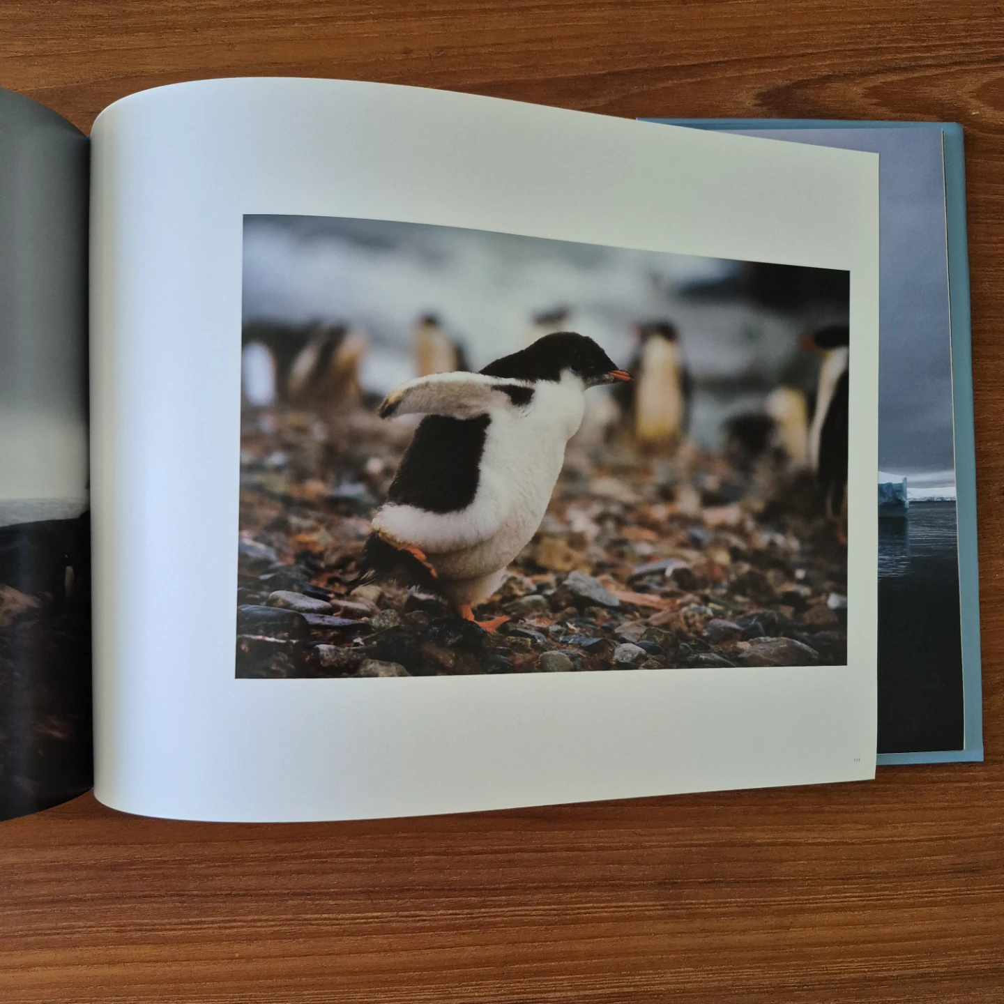 "Antarctica: The Global Warning" by Sebastian Copeland - photo 3