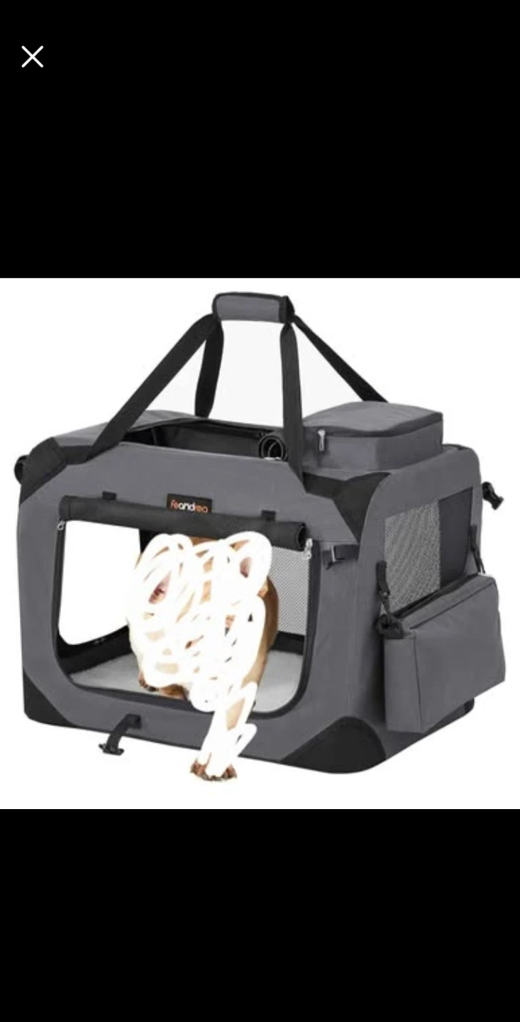 Pet Carrier Bag