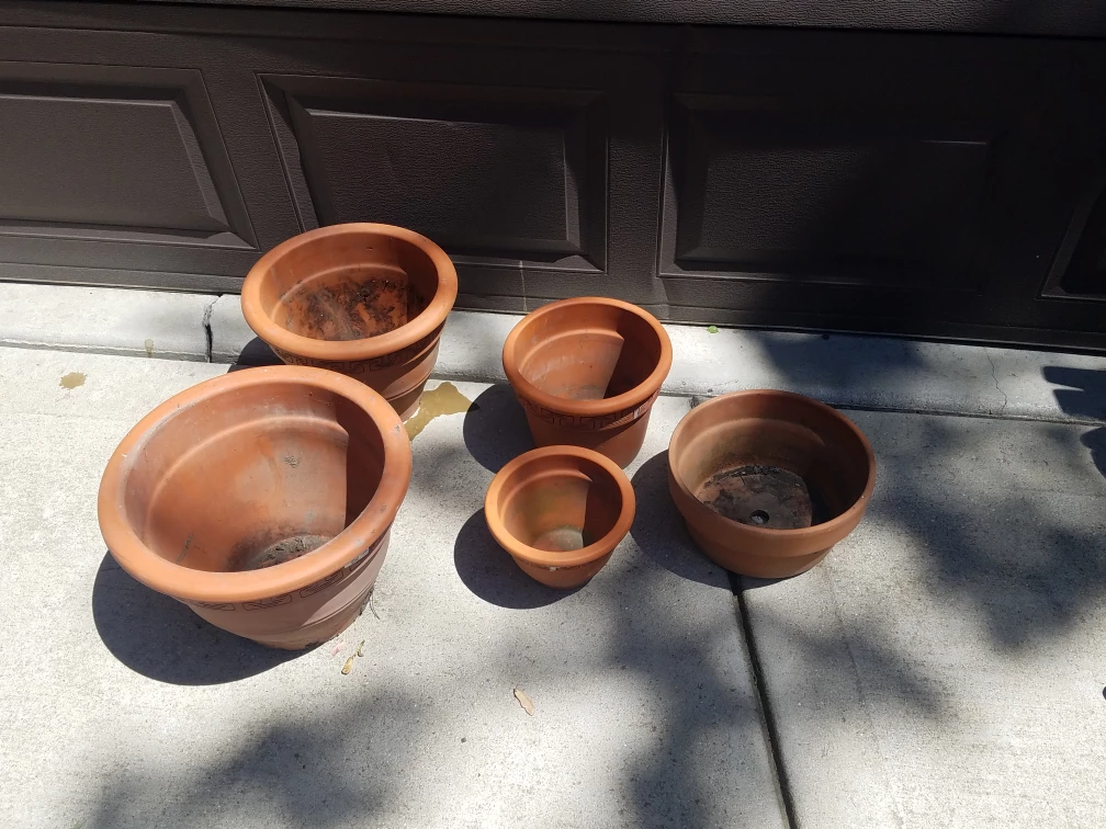 Terracotta Plant Pots (Set of 5)