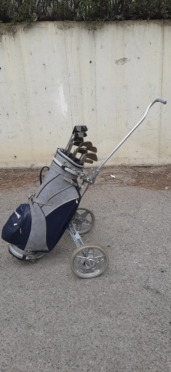 Spalding Golf Bag with Clubs and Cart