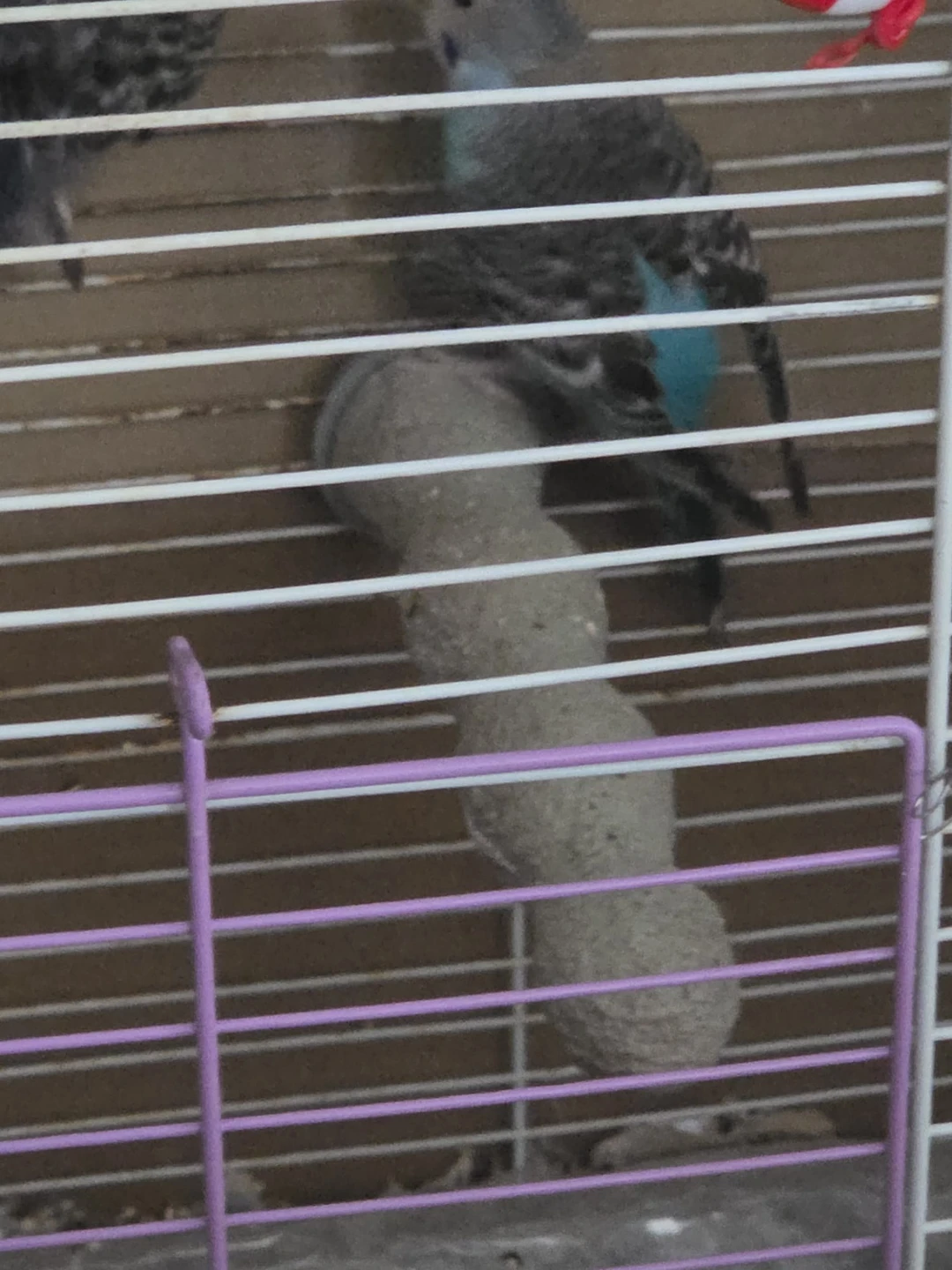 Purple bird cage with toys - photo 2