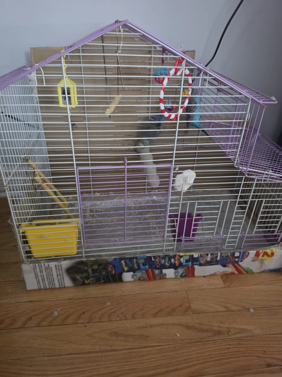 Purple bird cage with toys - photo 3