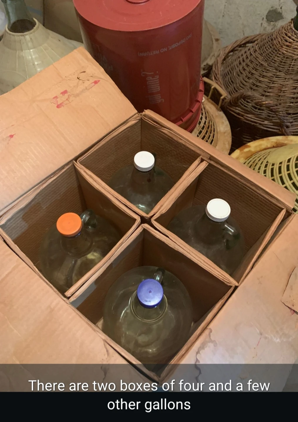 Glass Carboys and Jugs Assortment - photo 5